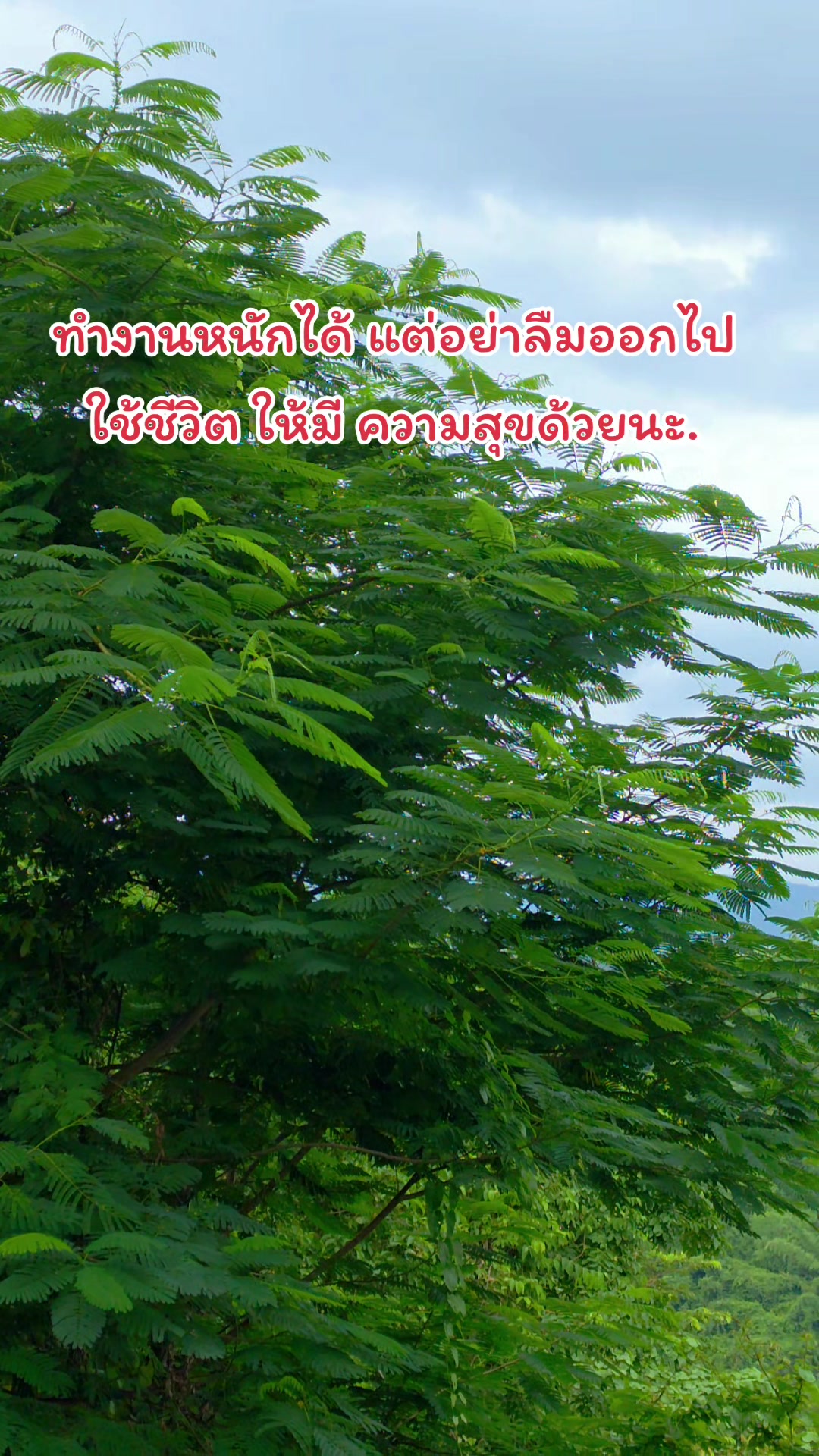 @เลดี้ กาก้า