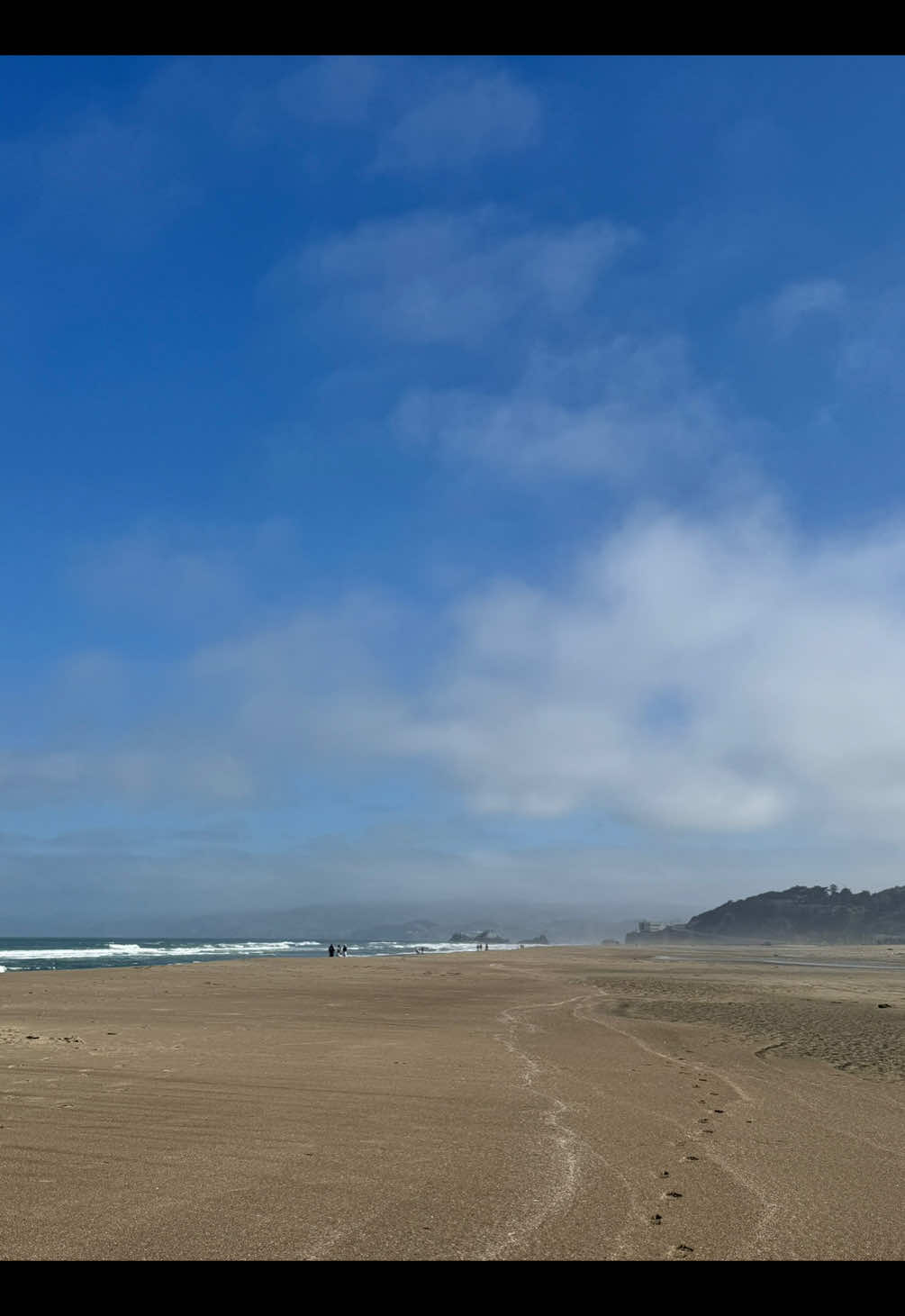 @choobear