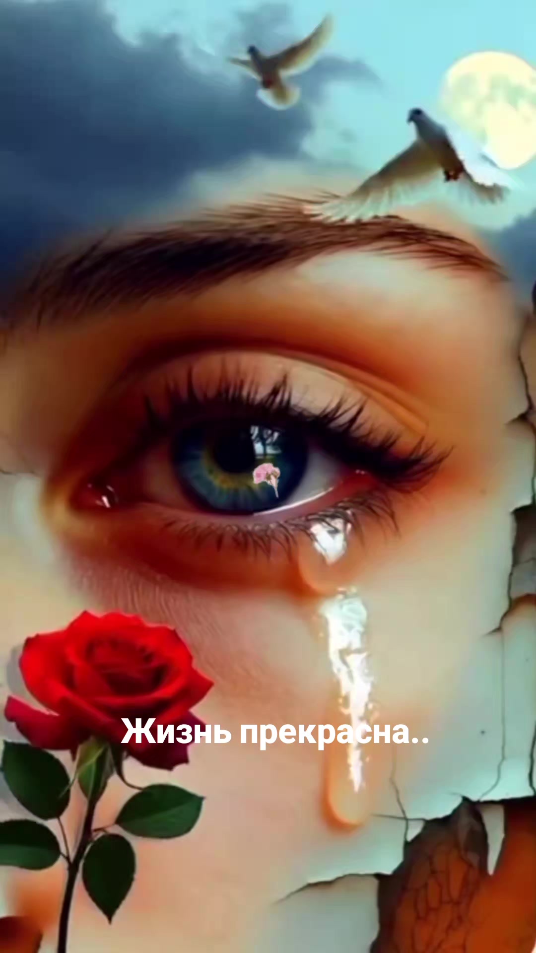 @Мила Телец.