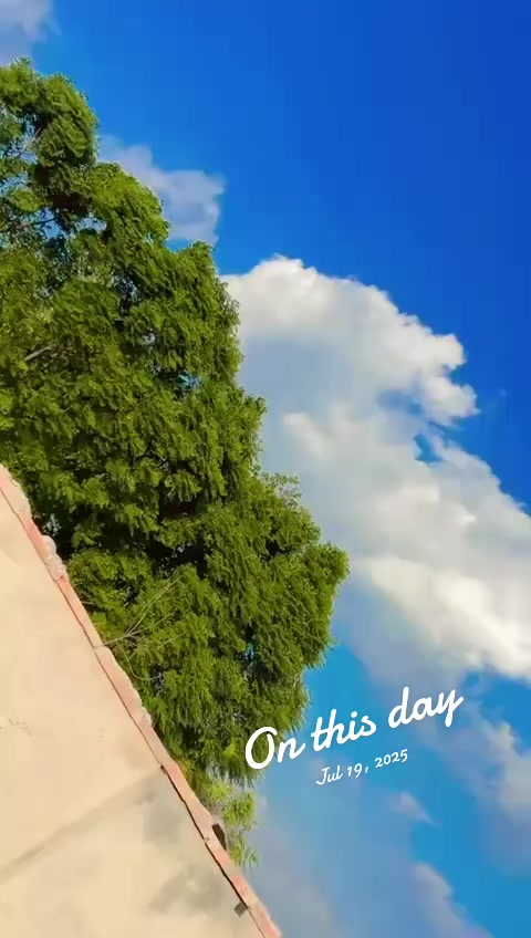 @👑𝑀𝒶ح𝒶𝑅 👑