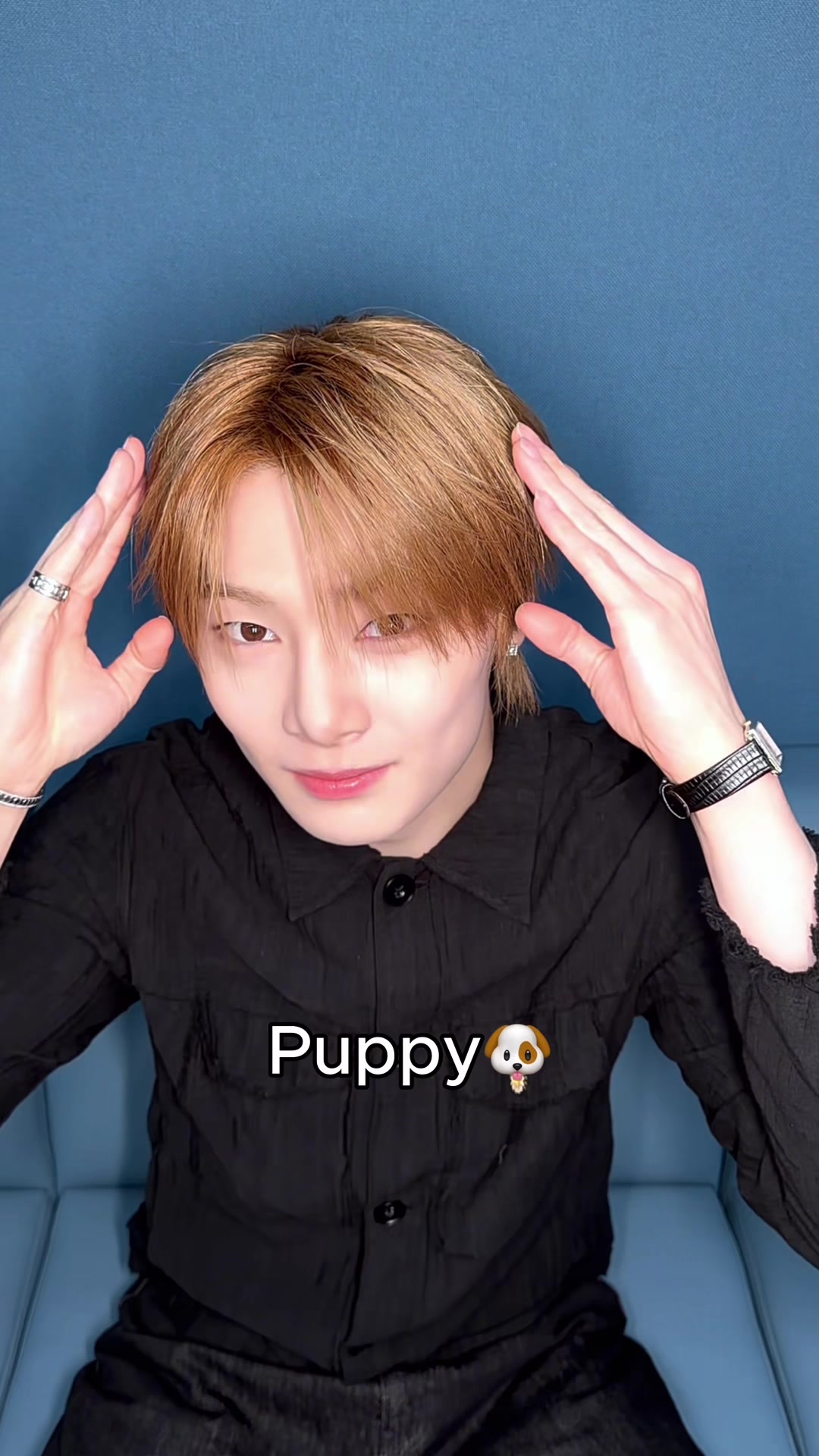 @Stray Kids