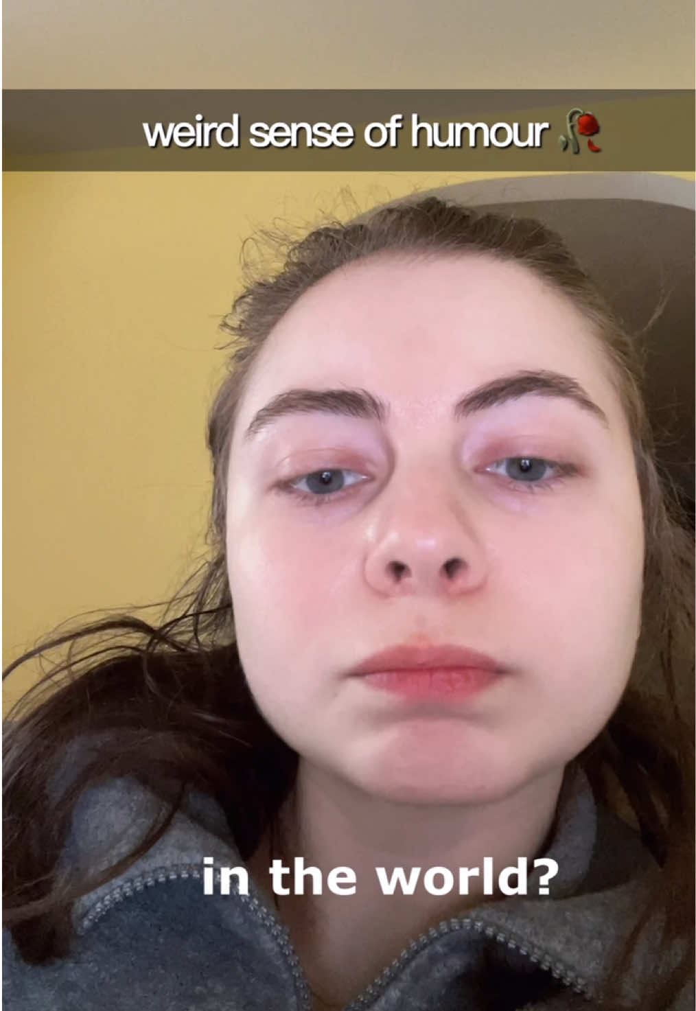 @Hangulbear
