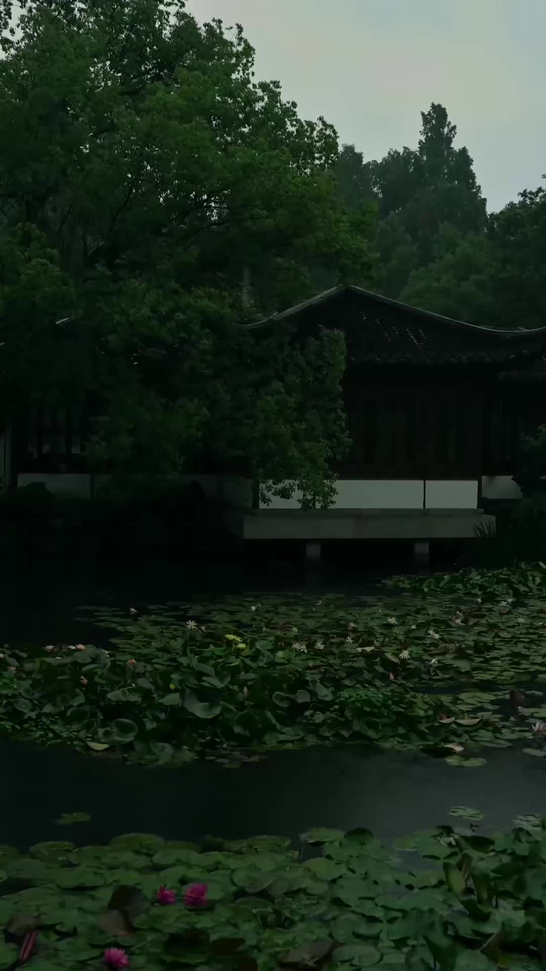 @hefxtom24433464