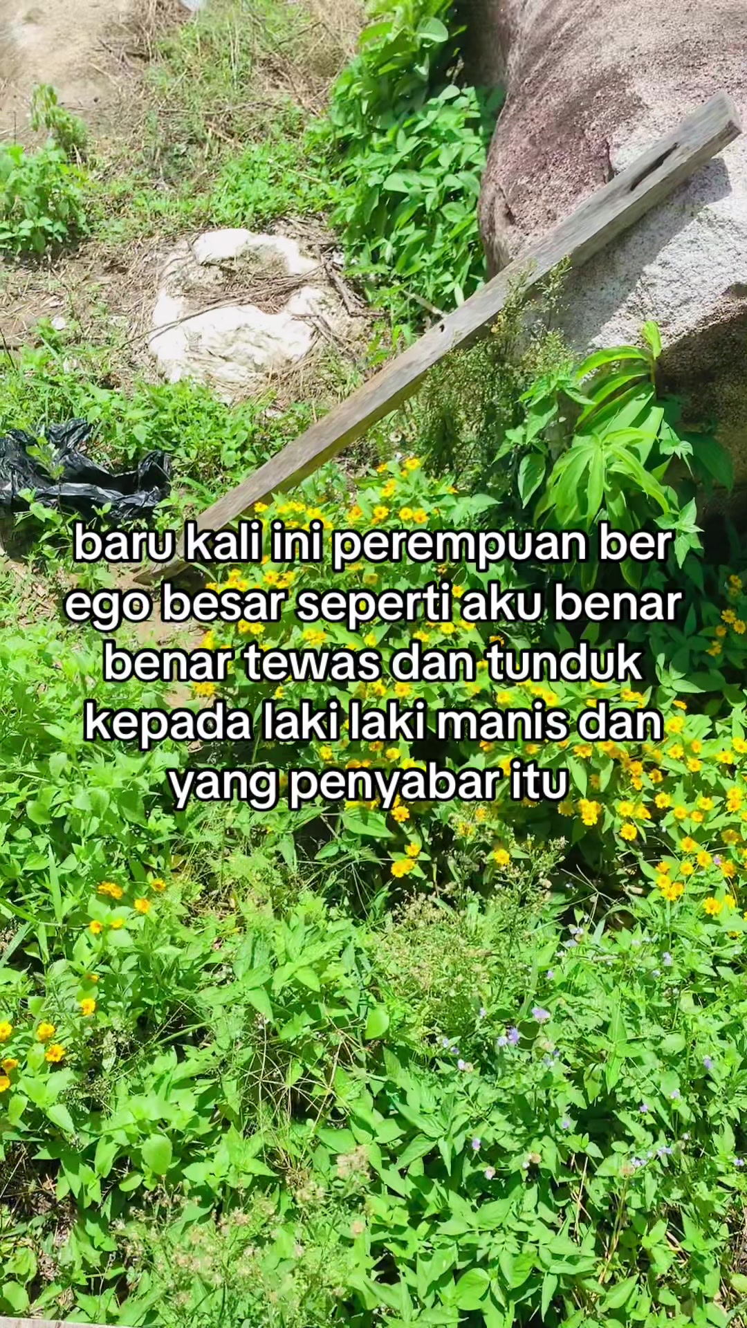 @tomato_enak