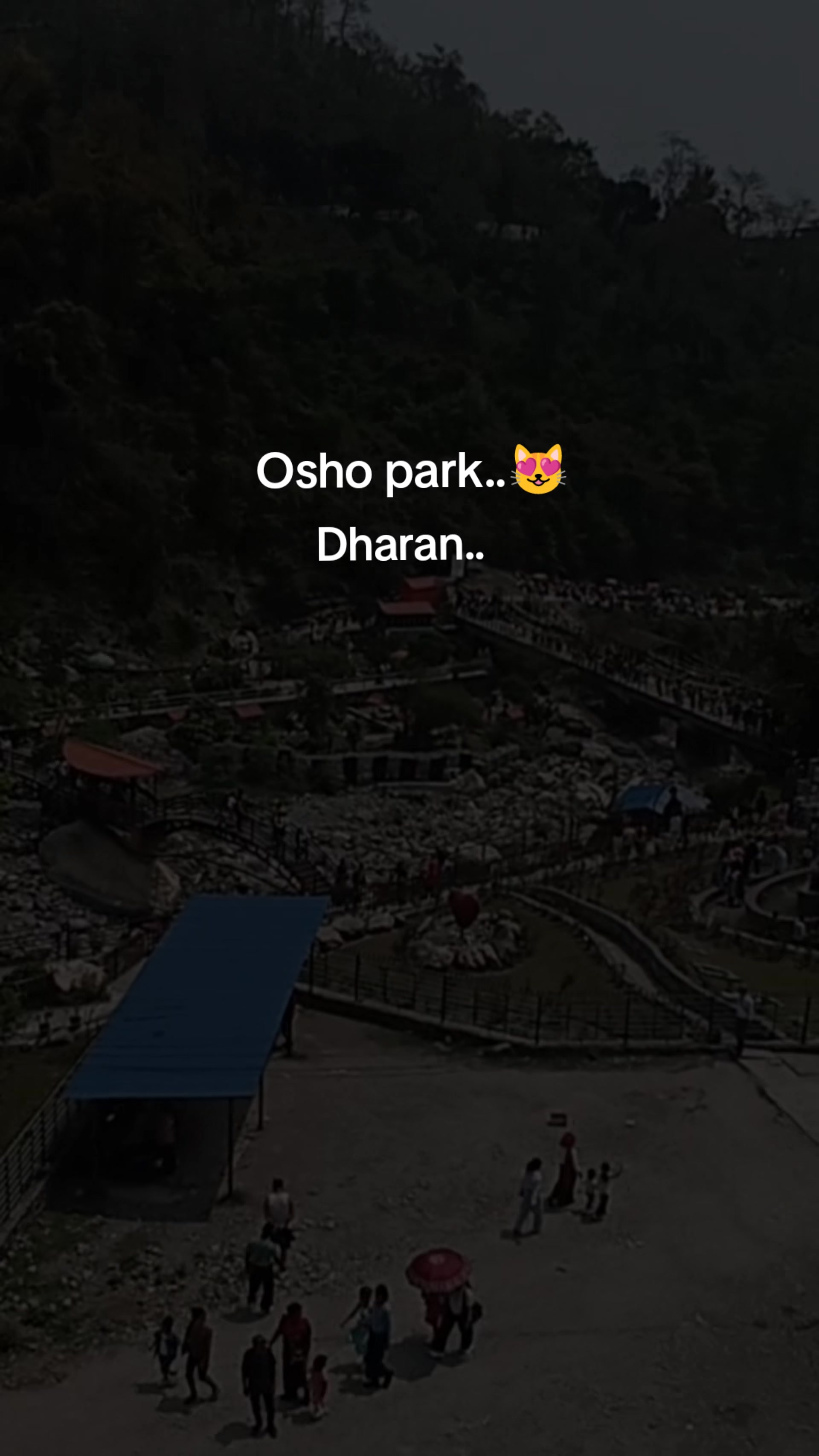 @Niraj Rai