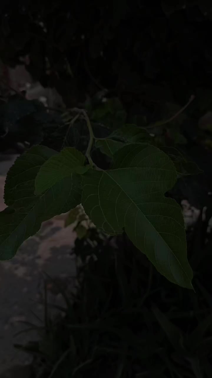 @𝑬 𝑴 𝑨 𝑵 ♥️