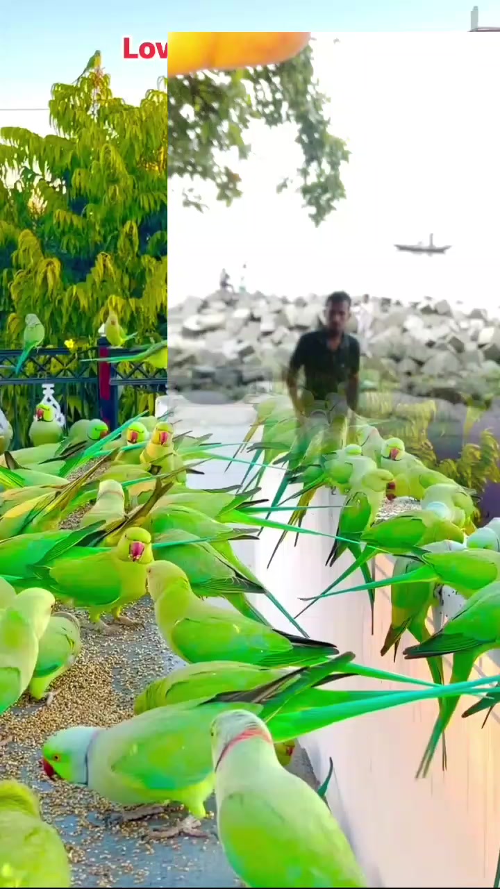 @❤️❤️লামিয়া❤️ইসলাম❤️❤️