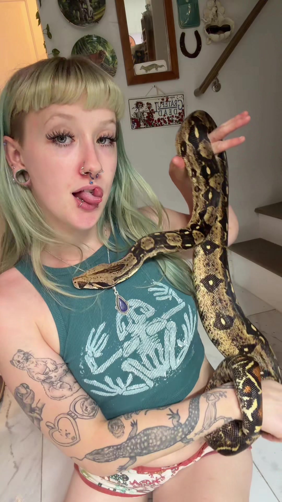 @layla🦎🍃