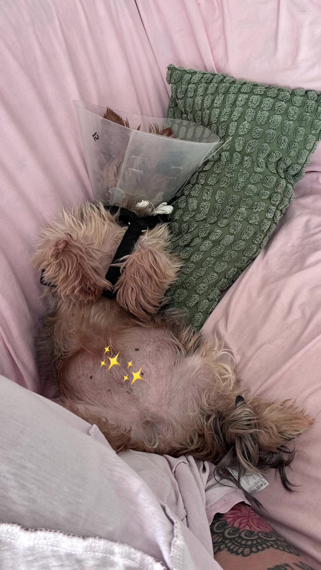 @✨María ✨