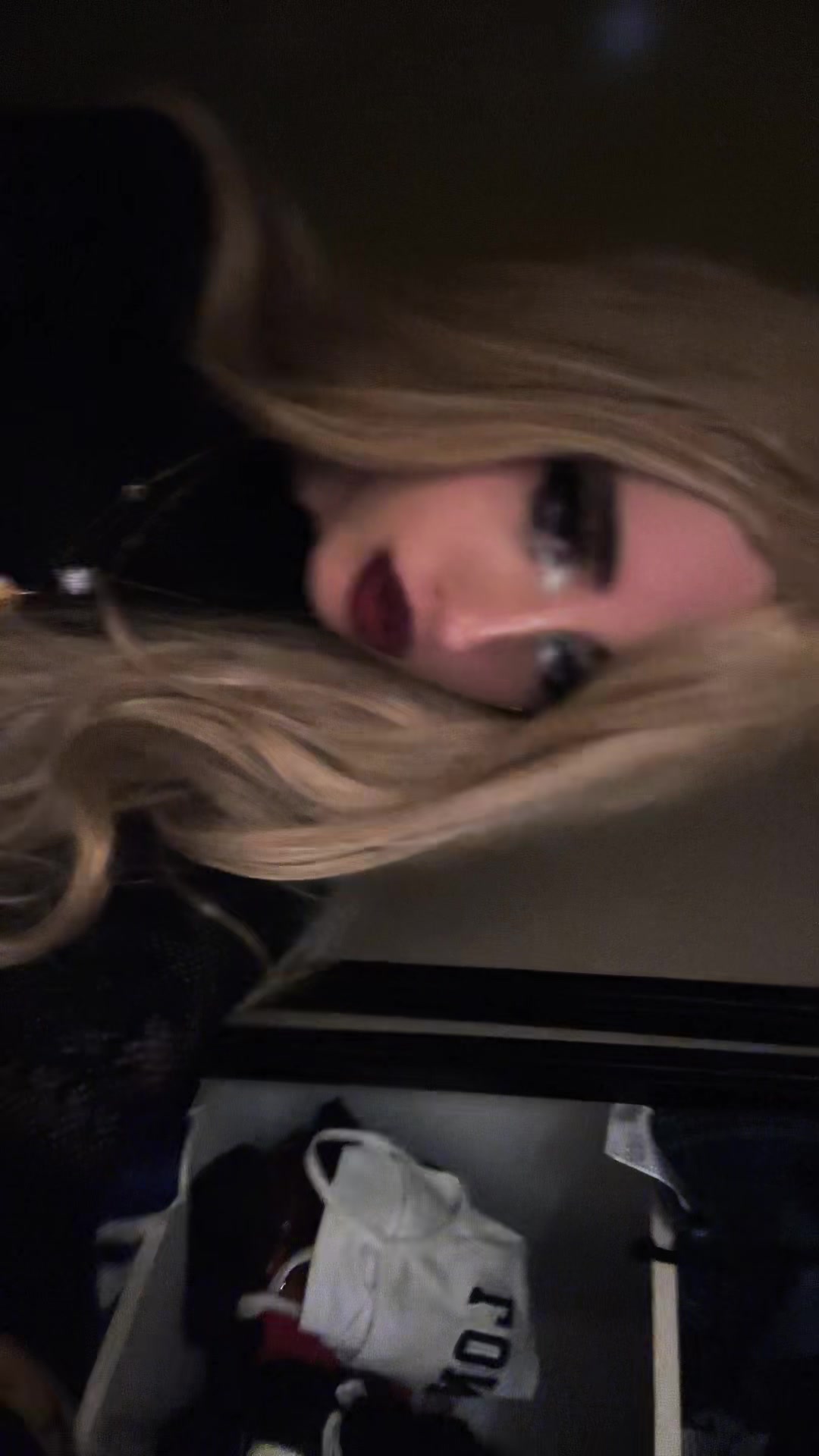 @chatdinosaure