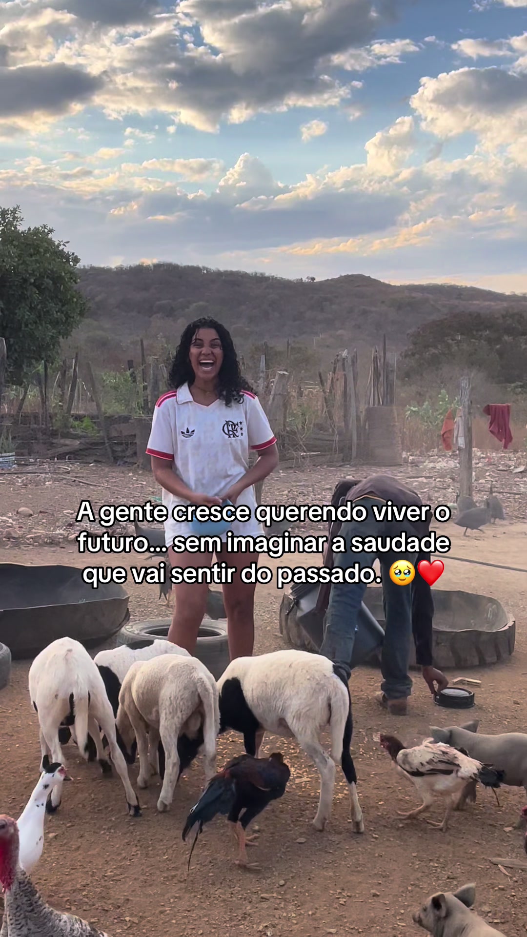@monicadejatoba