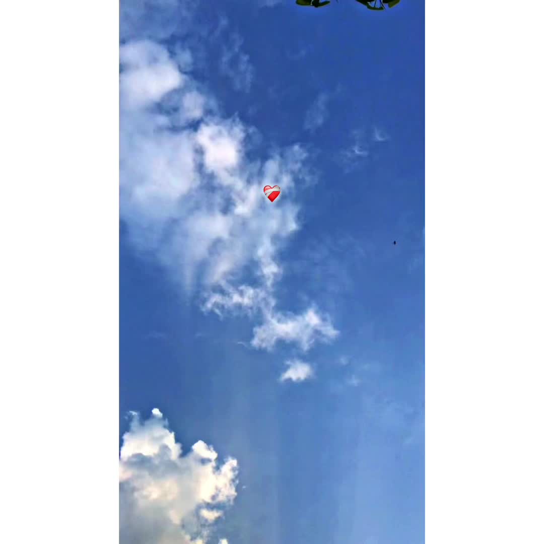 @پنجاب ❤️🩹