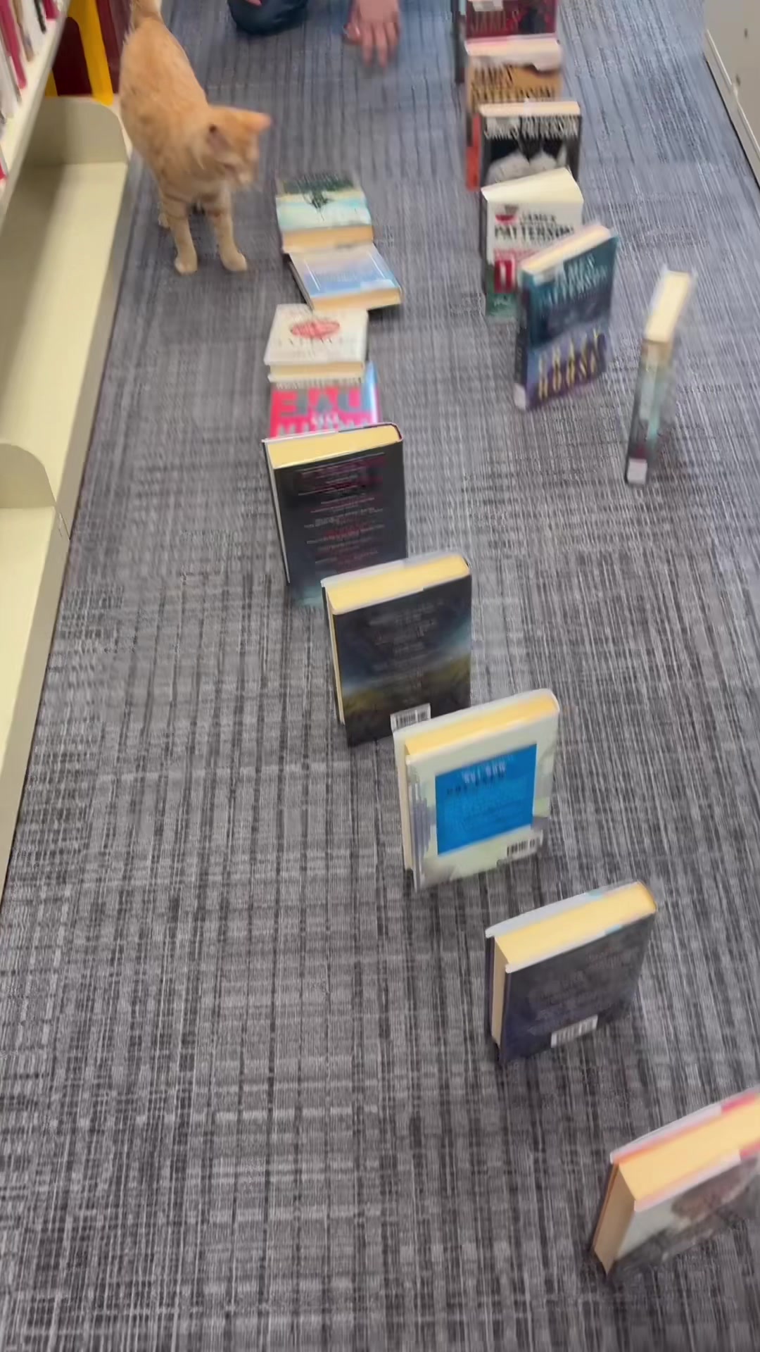 @Clarkson Public Library