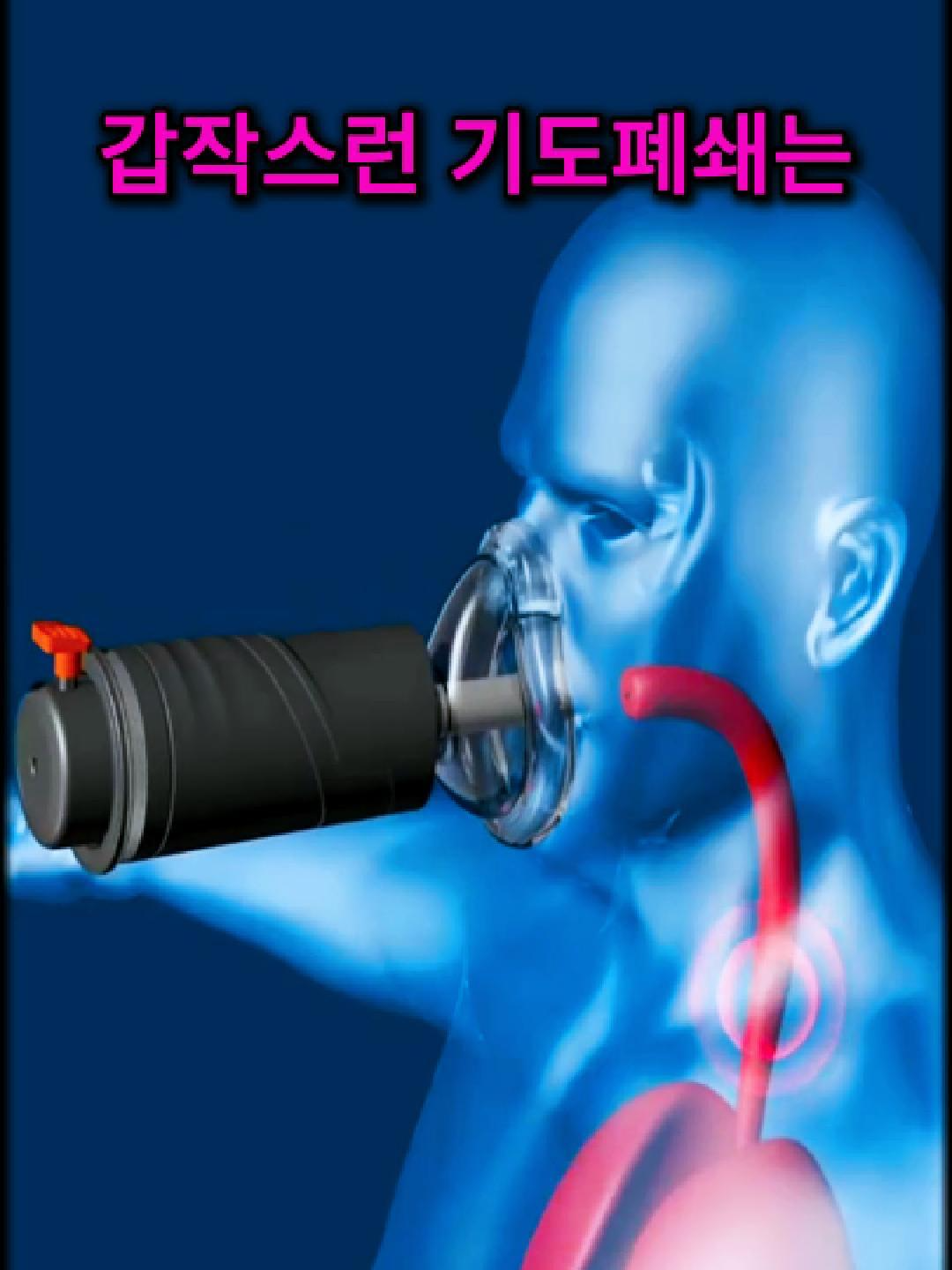 @이거저거요거