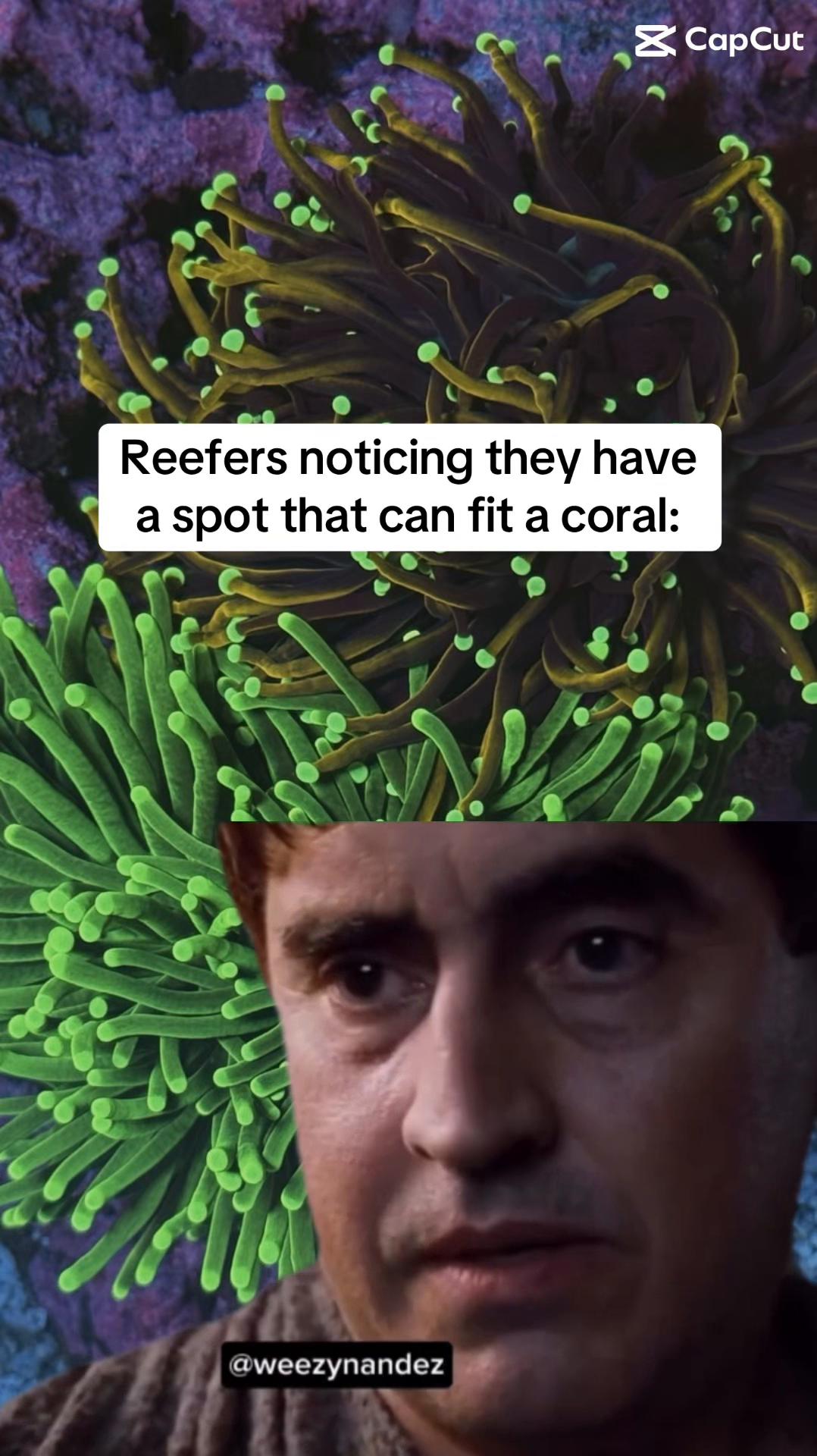 @ReefTok
