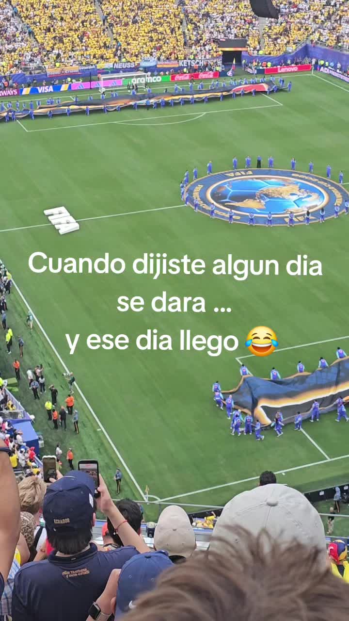@Tiny Chihuahuas