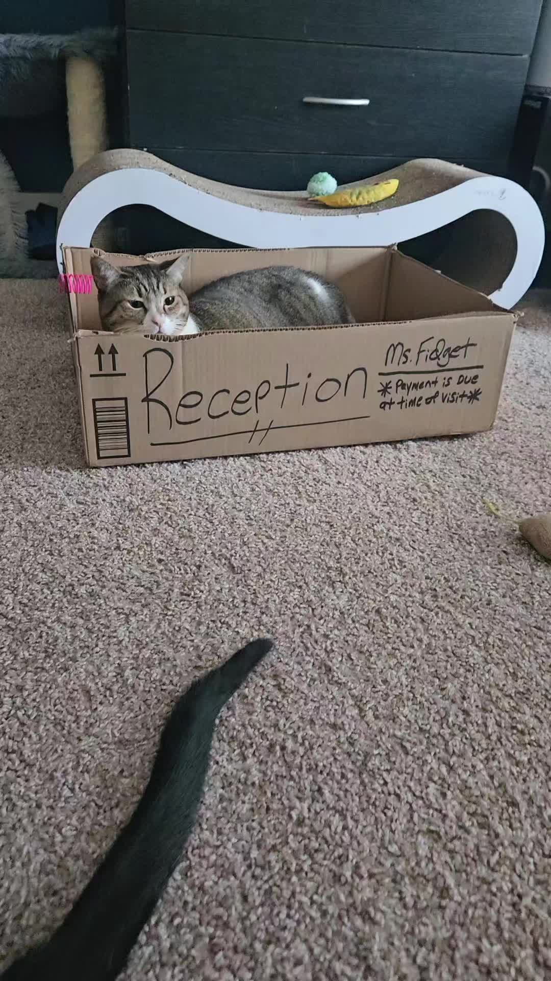 @𝘾𝙝𝙧𝙞𝙨
