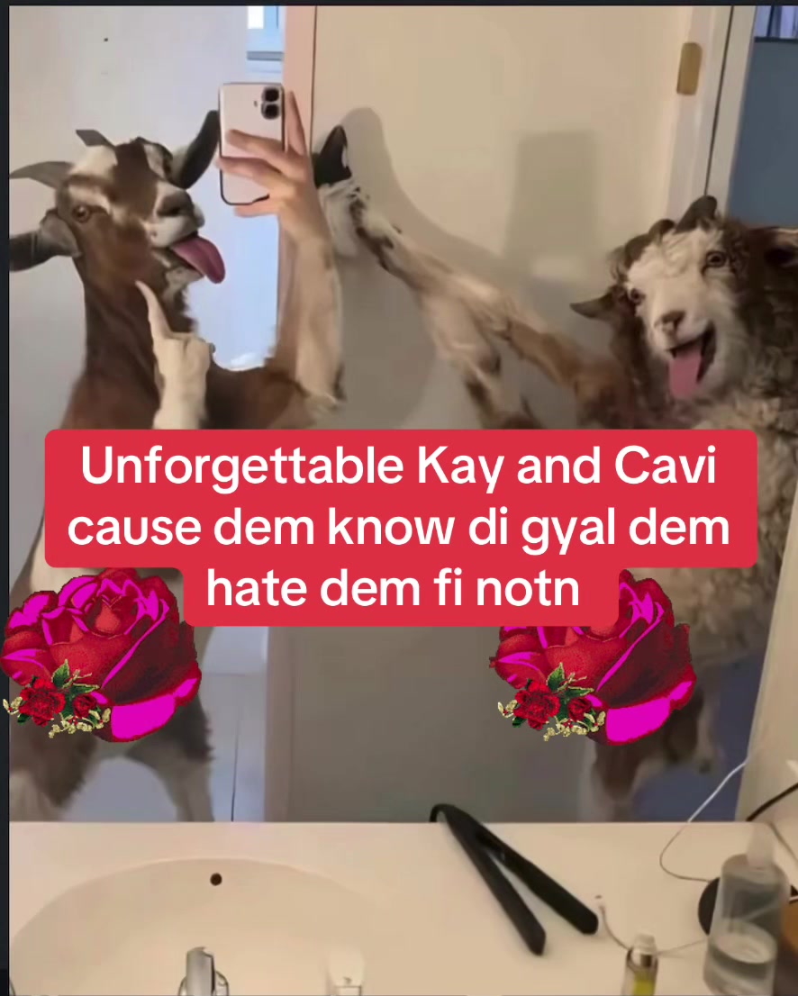 @Laugh_n_spill_d_tea_