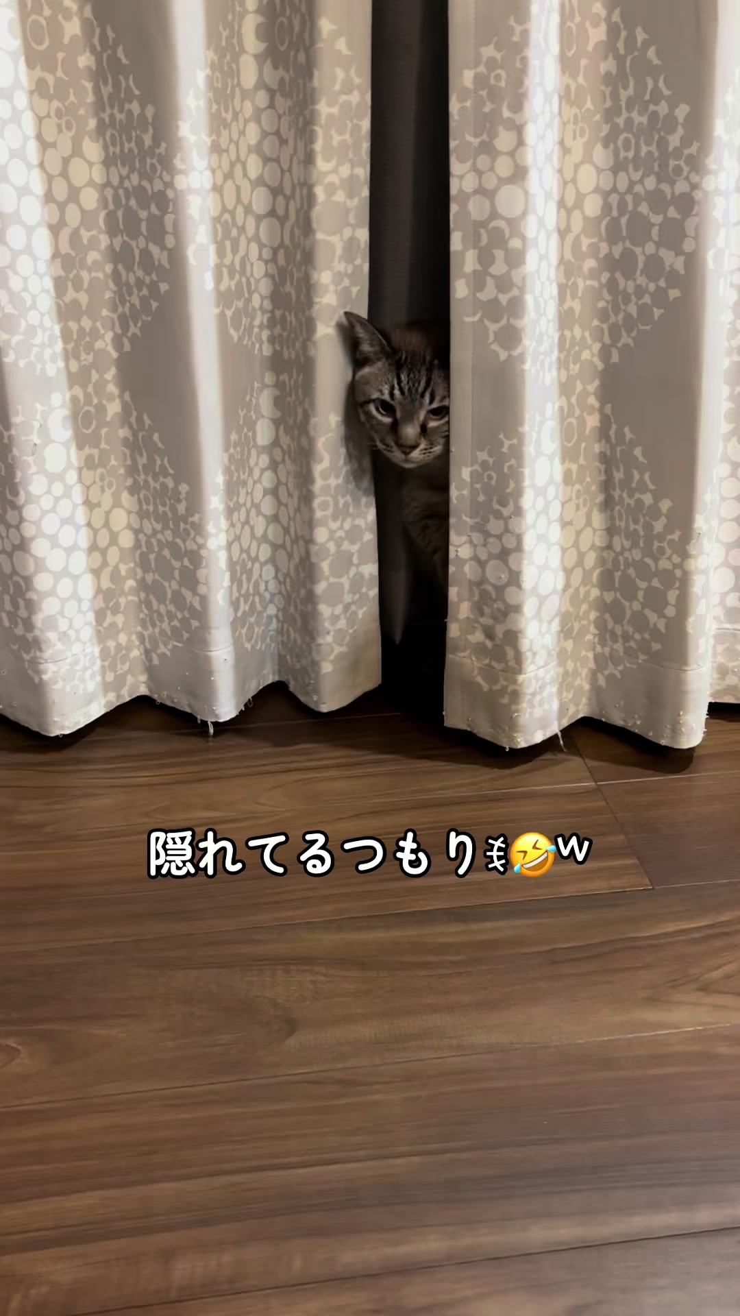 @ゆきりん