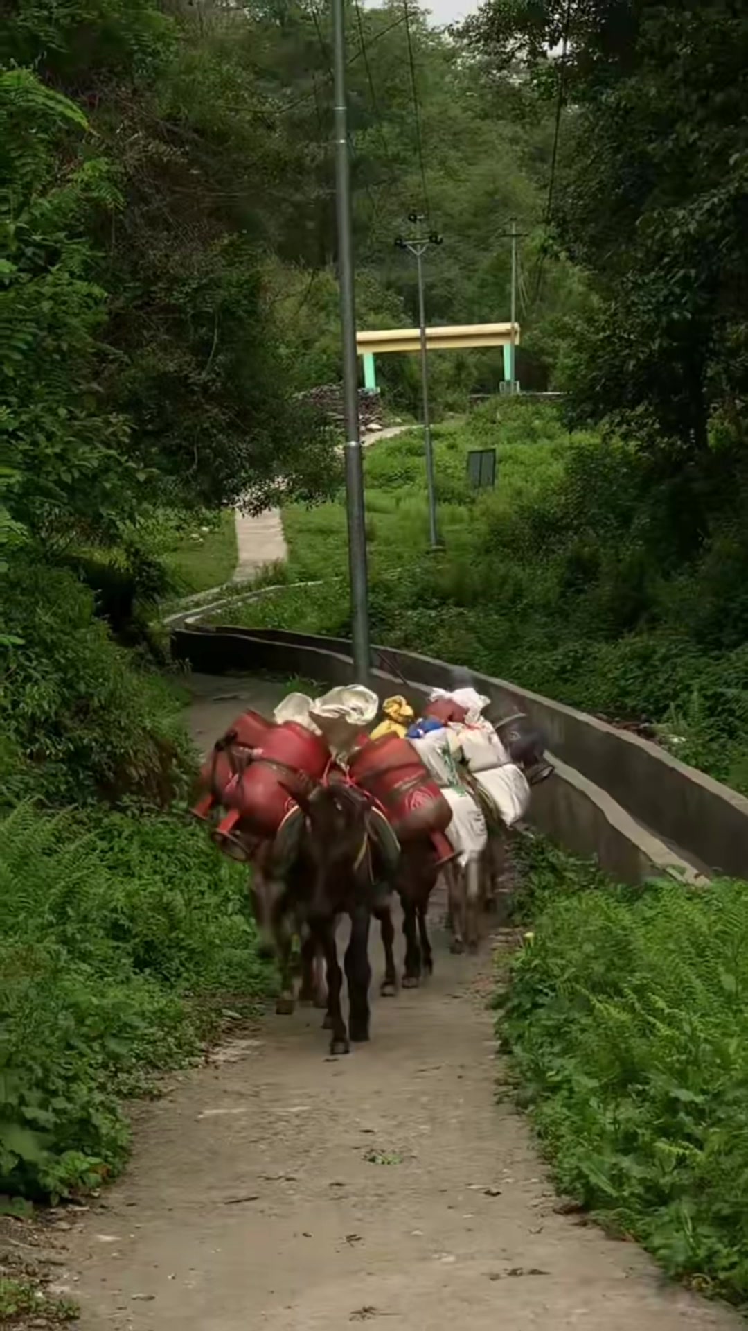 @Sangken Rai