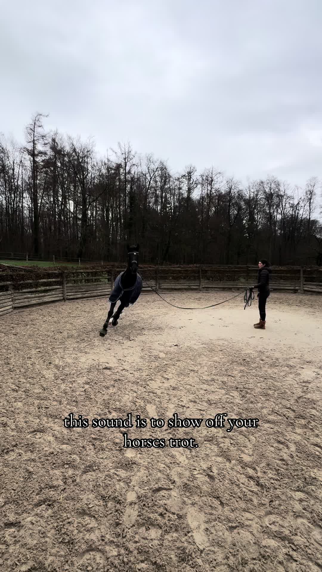 @lea.cavaliere