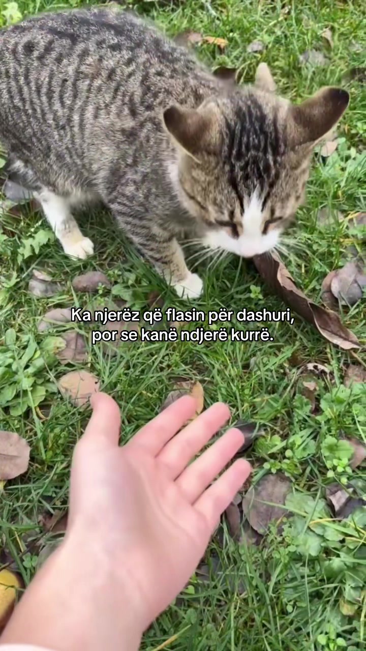 @M&rsquo;