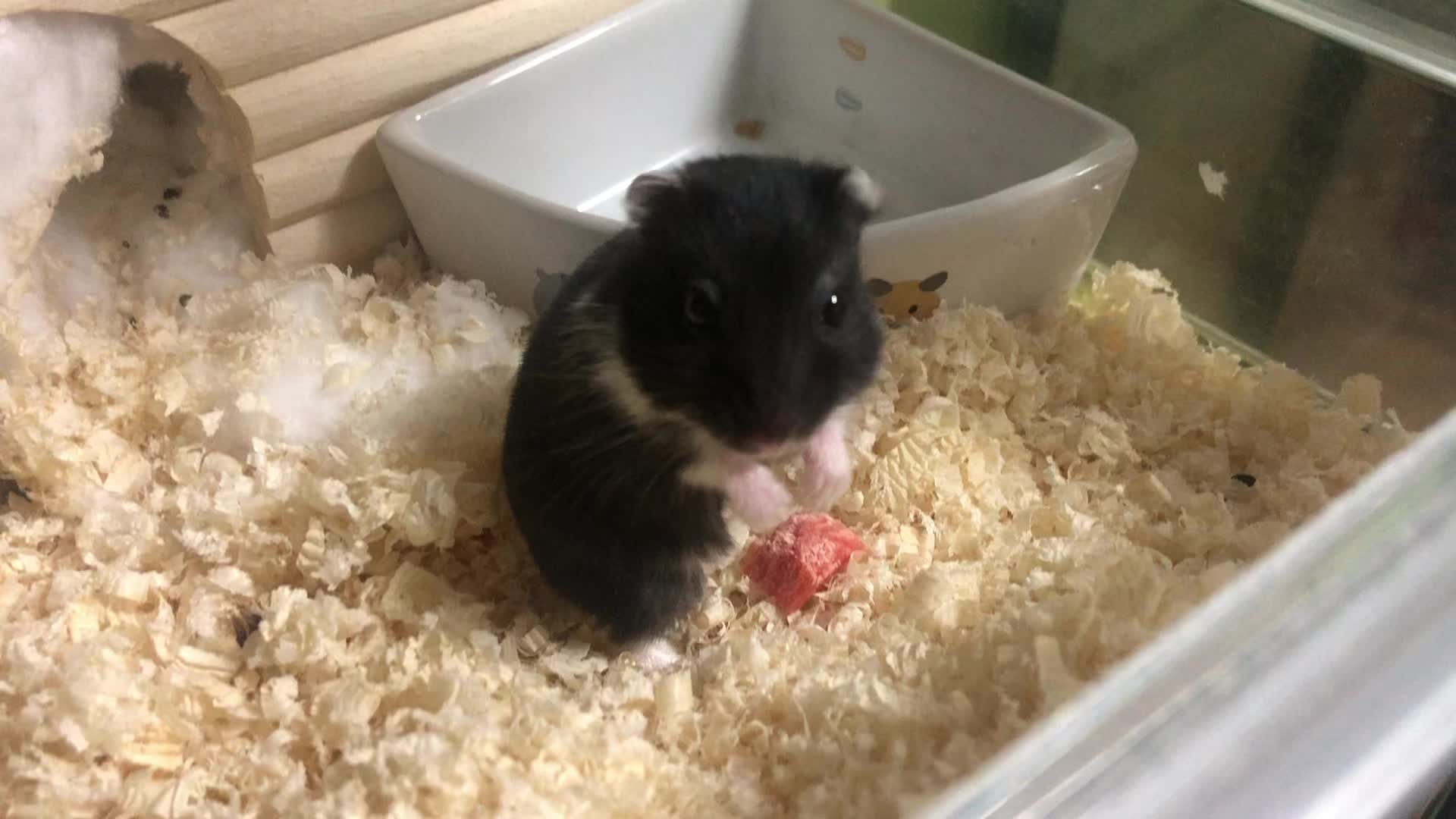 @フラッペ🍨