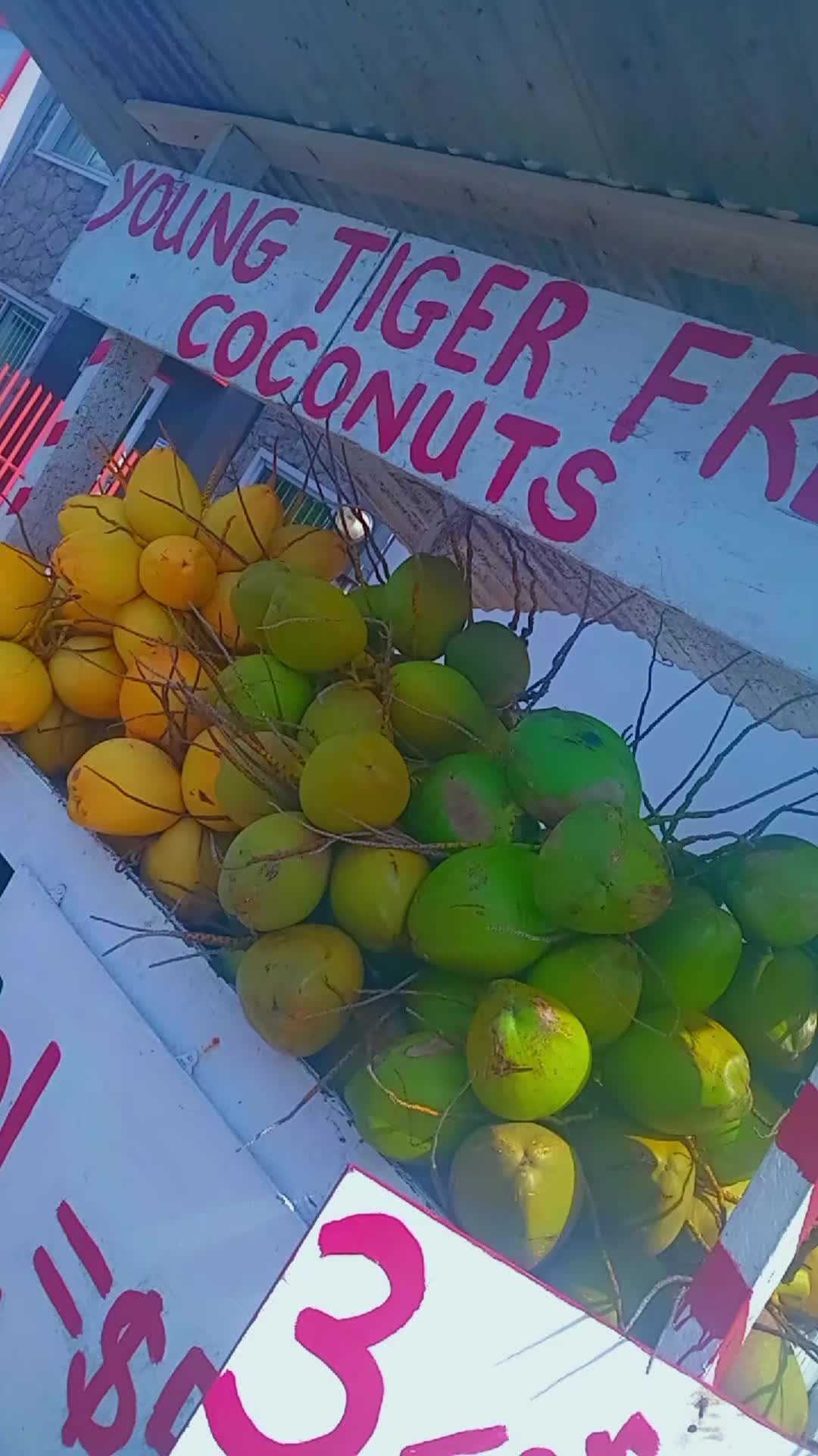 @Young Tiger Cold Coconuts🥥🌴