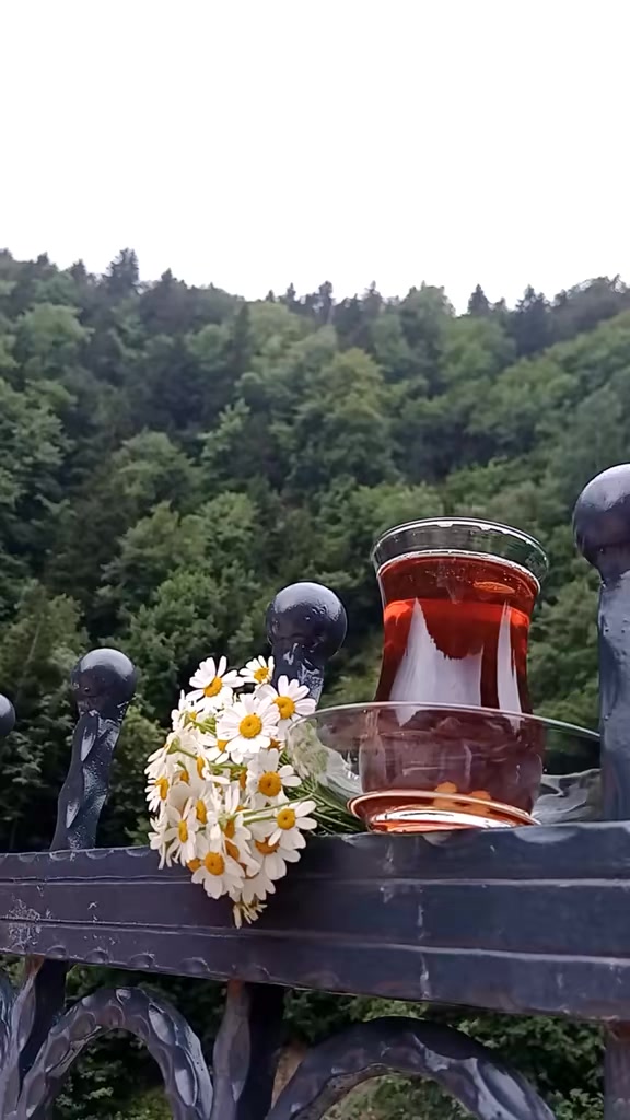 @🌹 𝓴𝓪𝓭𝓮𝓻 28