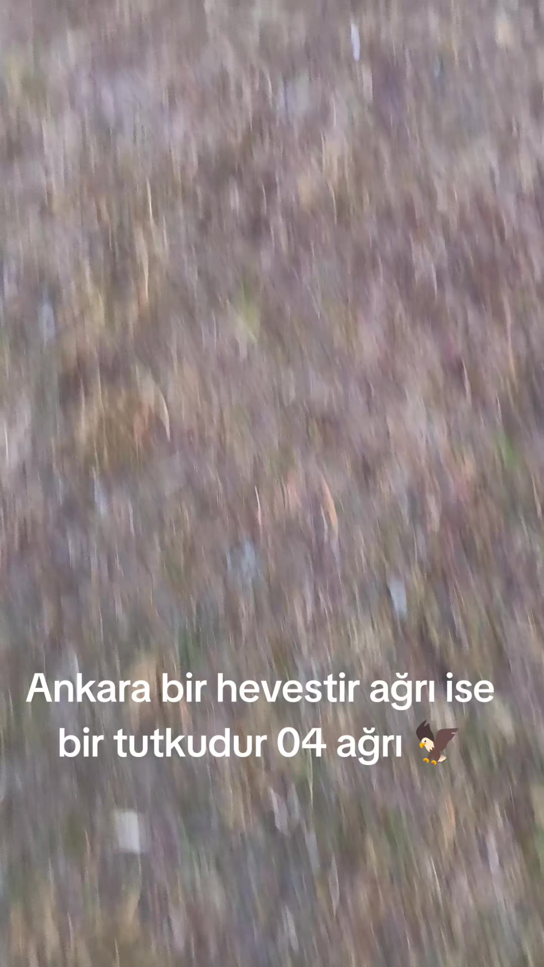@🦅YUSUF@BİLEN🦅