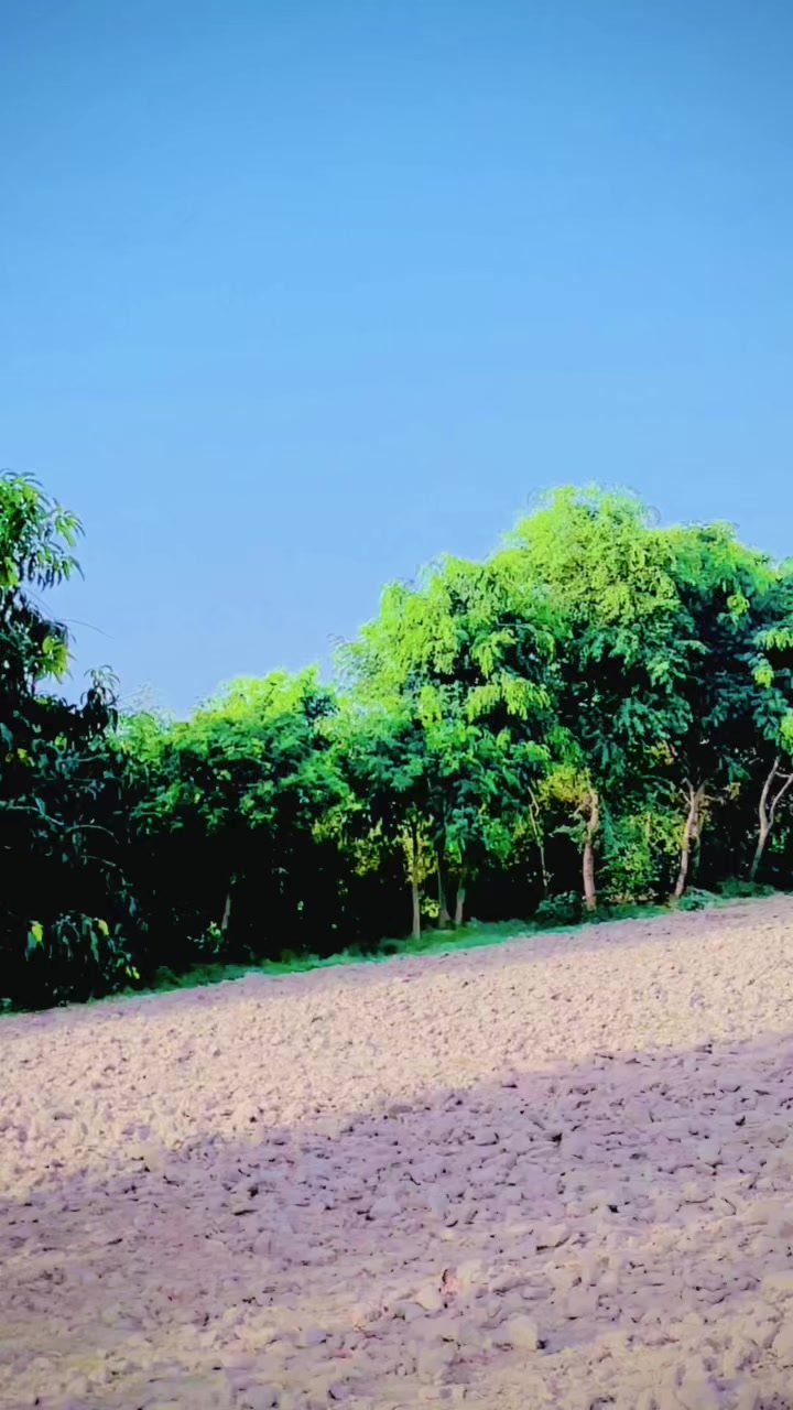 @Mahar Moba 47