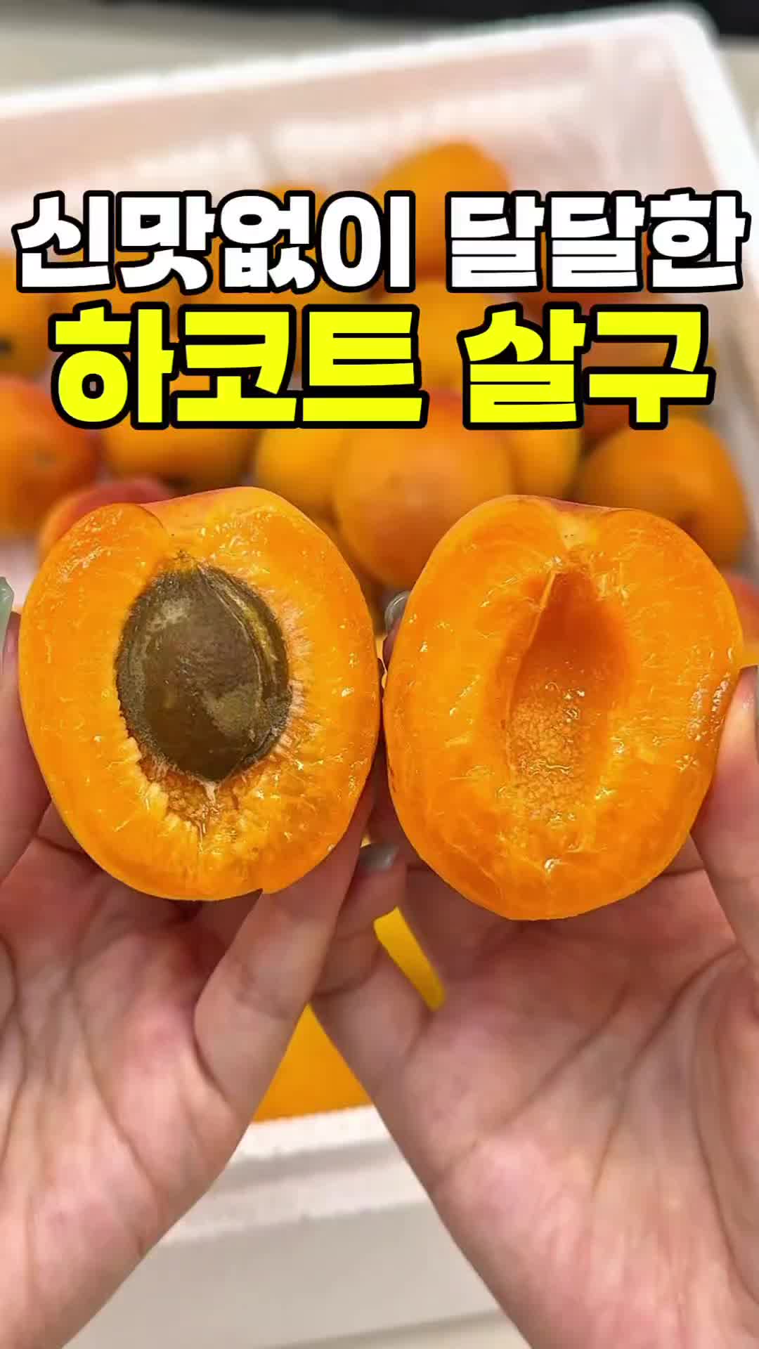 @싱싱햇 - 365일 싱싱한 햇 제철 먹거리