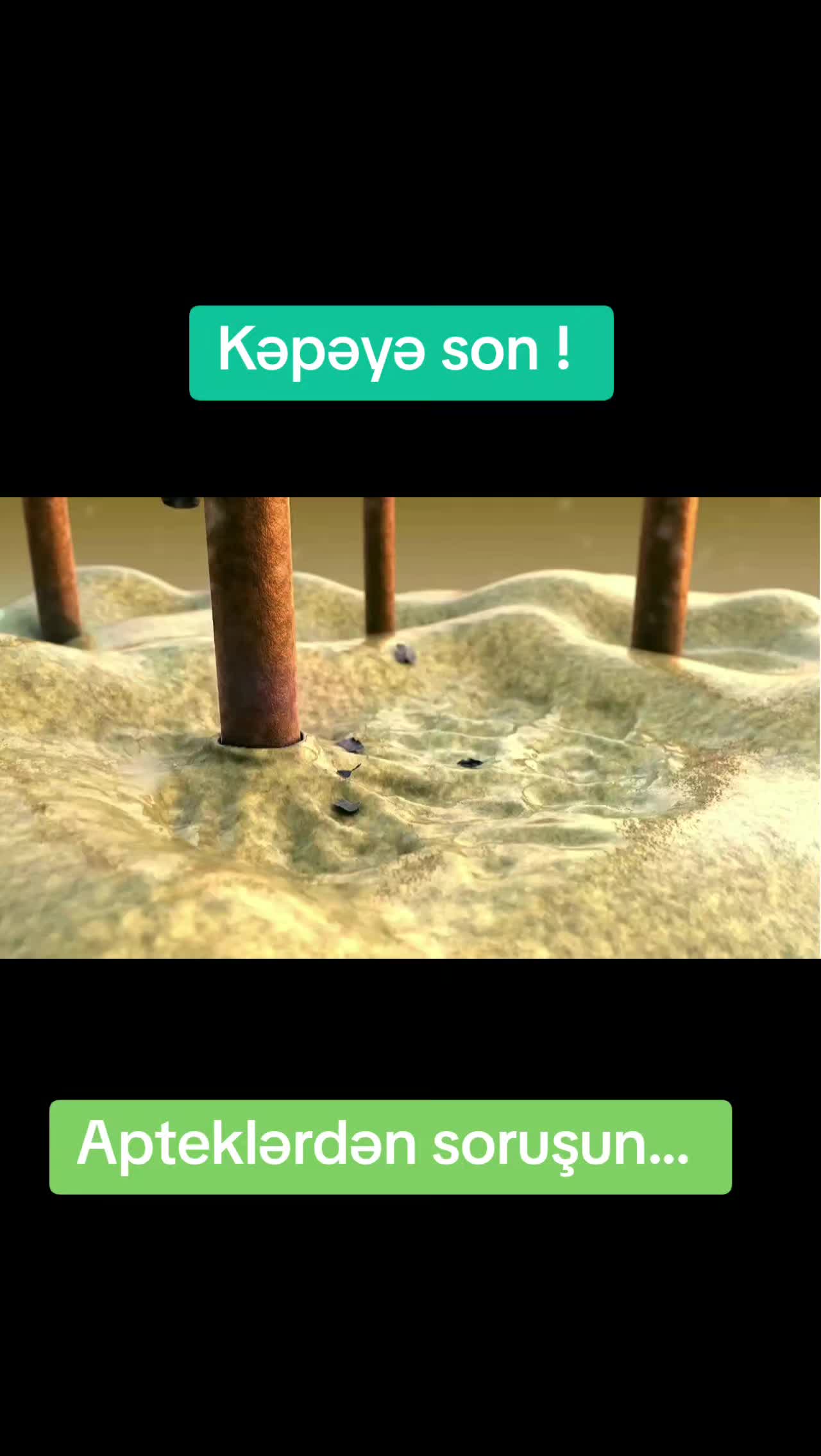 @Vinar_pharm