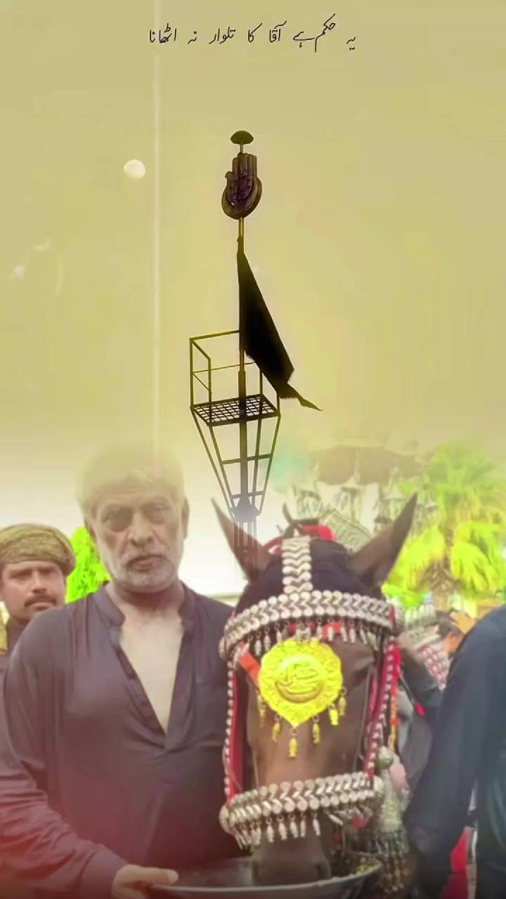 @Shahzad Shah