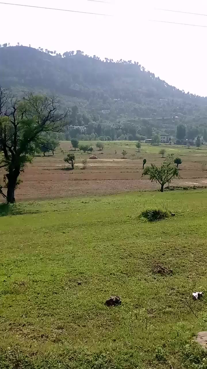 @mughlan di kuri