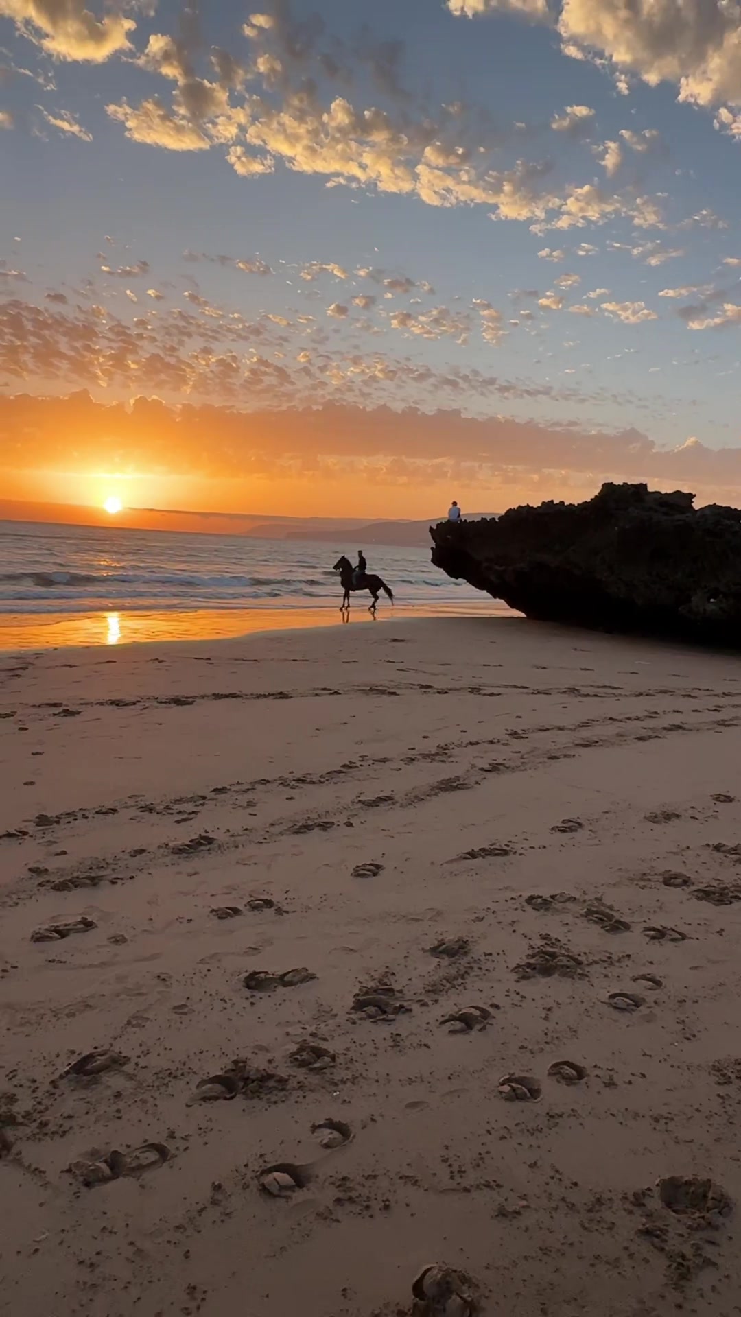 @Cheval_agadir