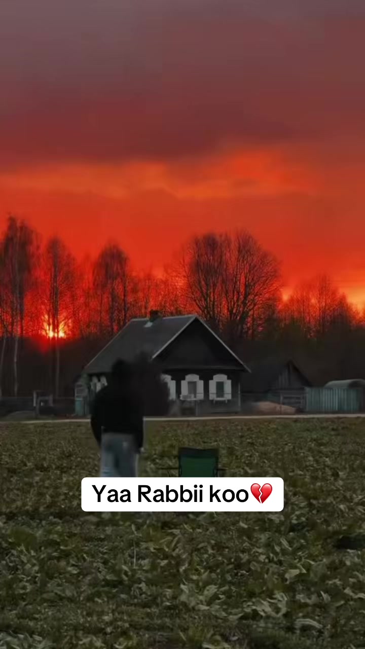 @Takitti Abbaadhoo 430🌳