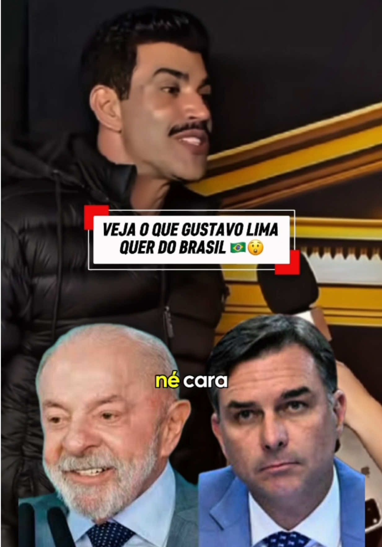 @gustavet