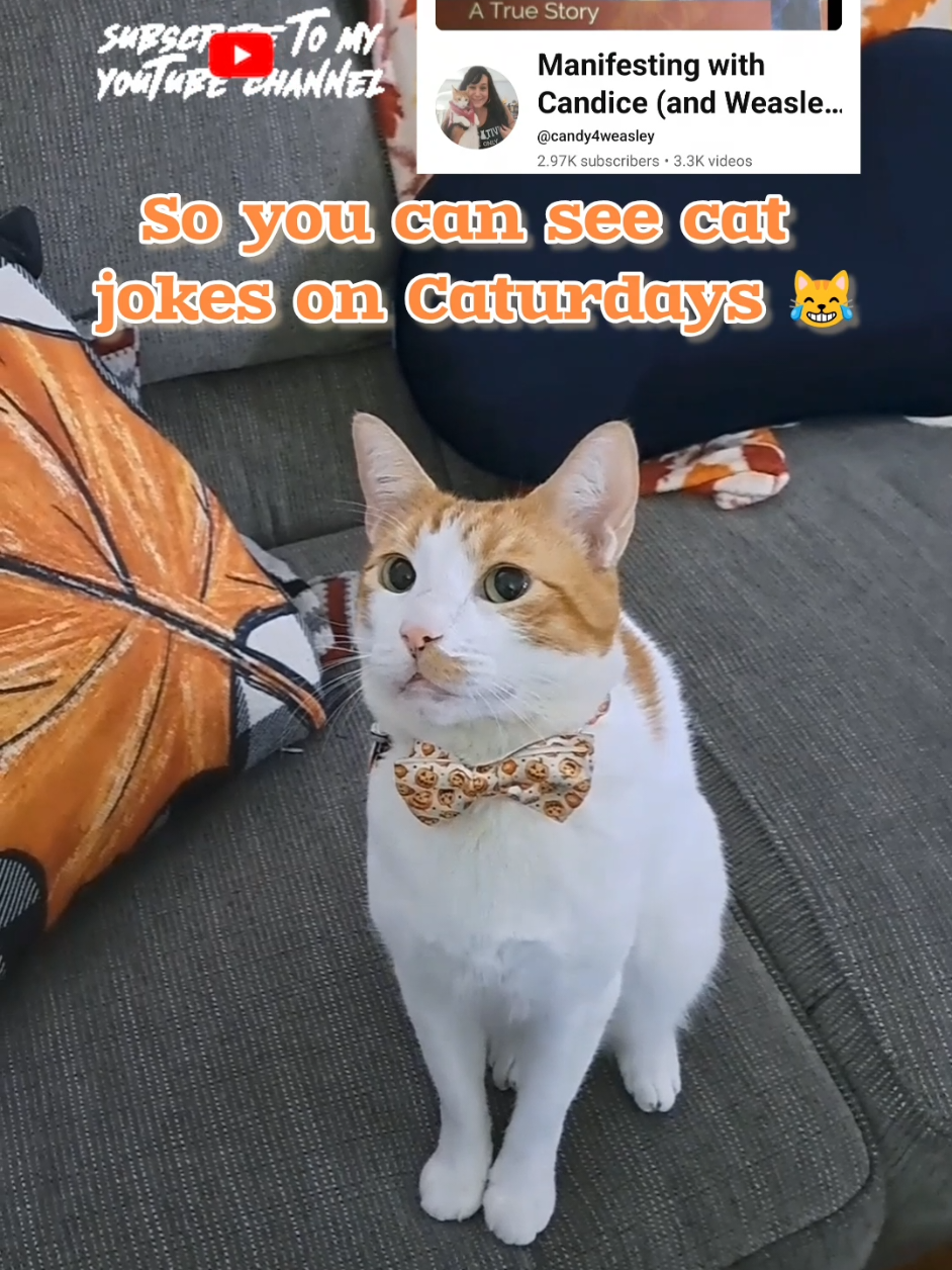 @Candice & Weasley