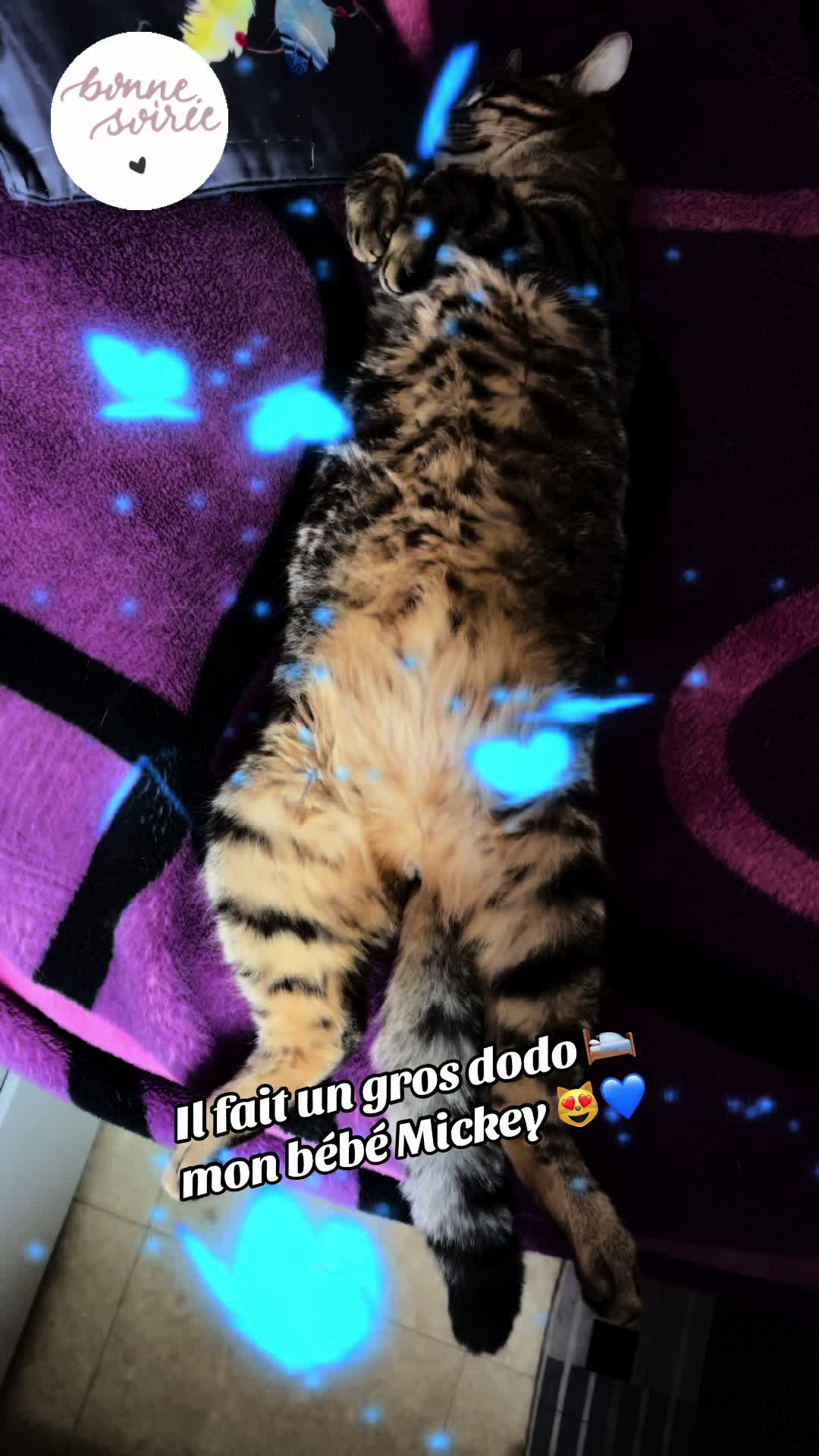 @sylvainuppy92