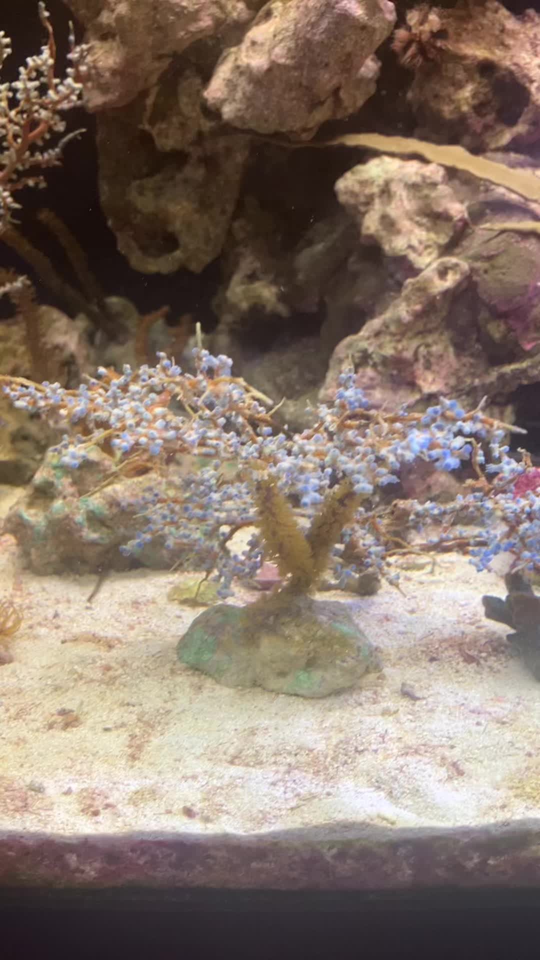 @fintastic aquariums