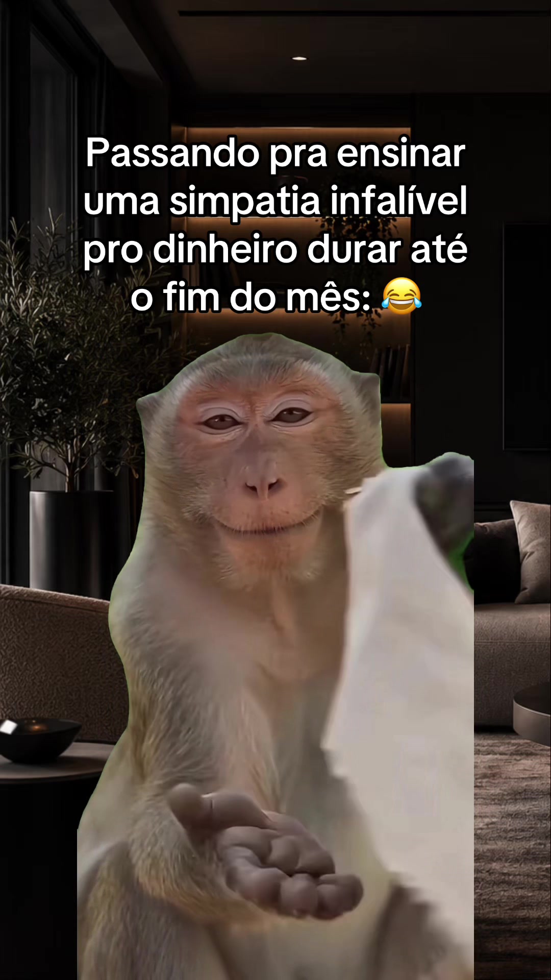 @tababadeira
