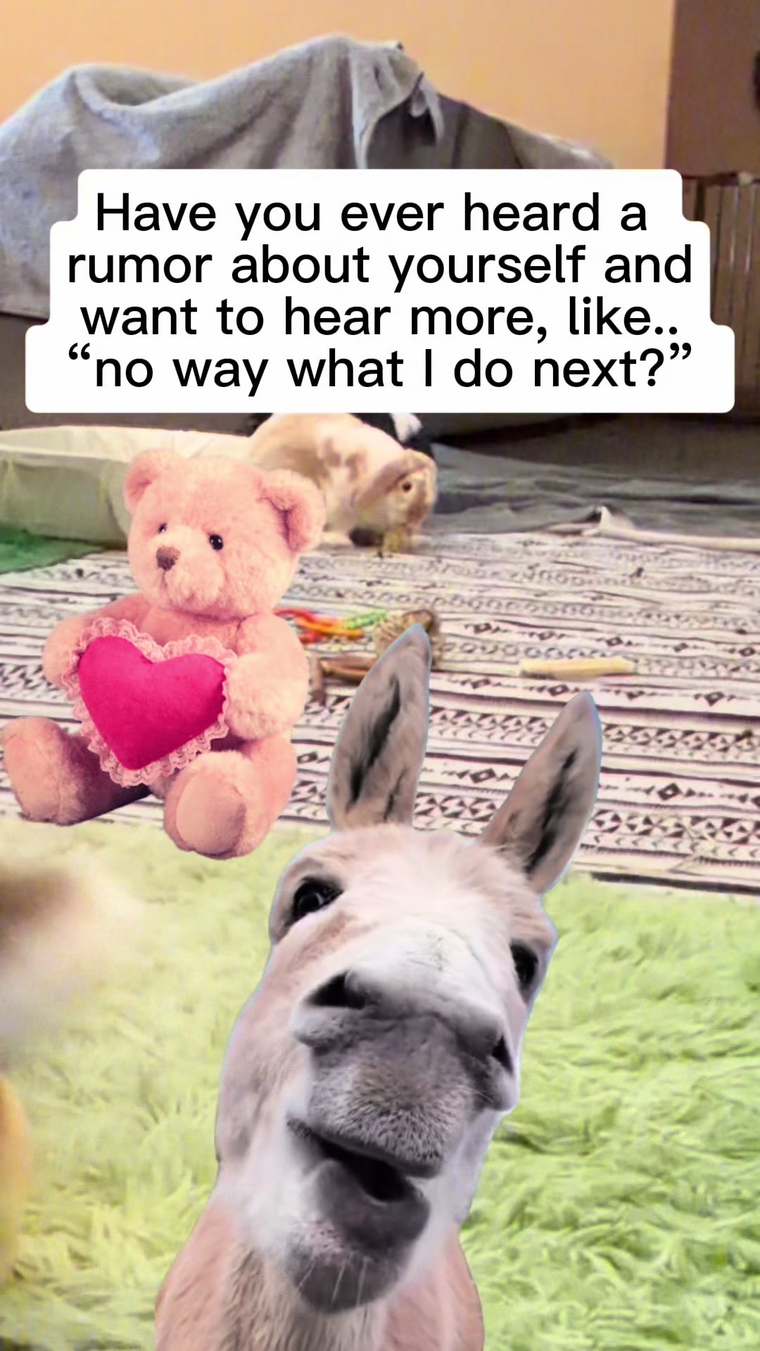 @Danielle L