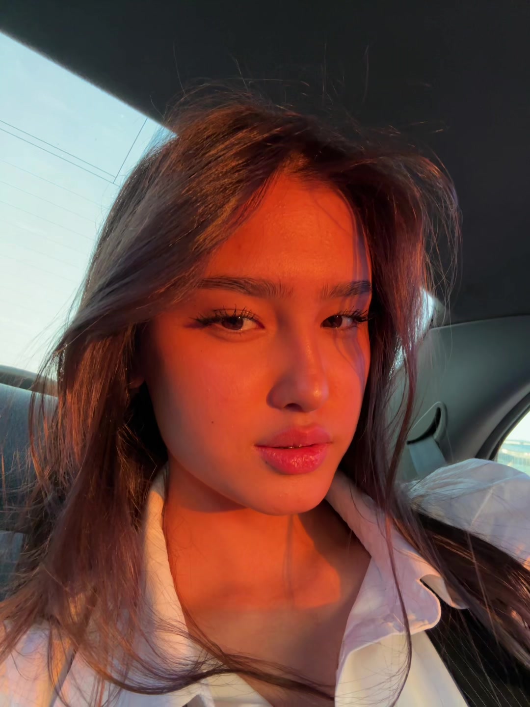 @aidoni