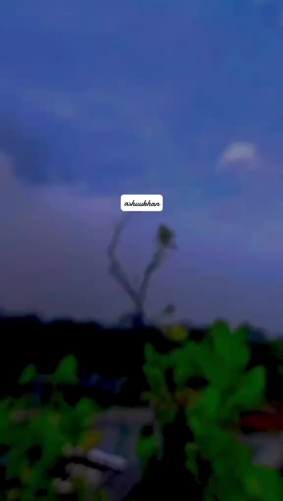 @💛