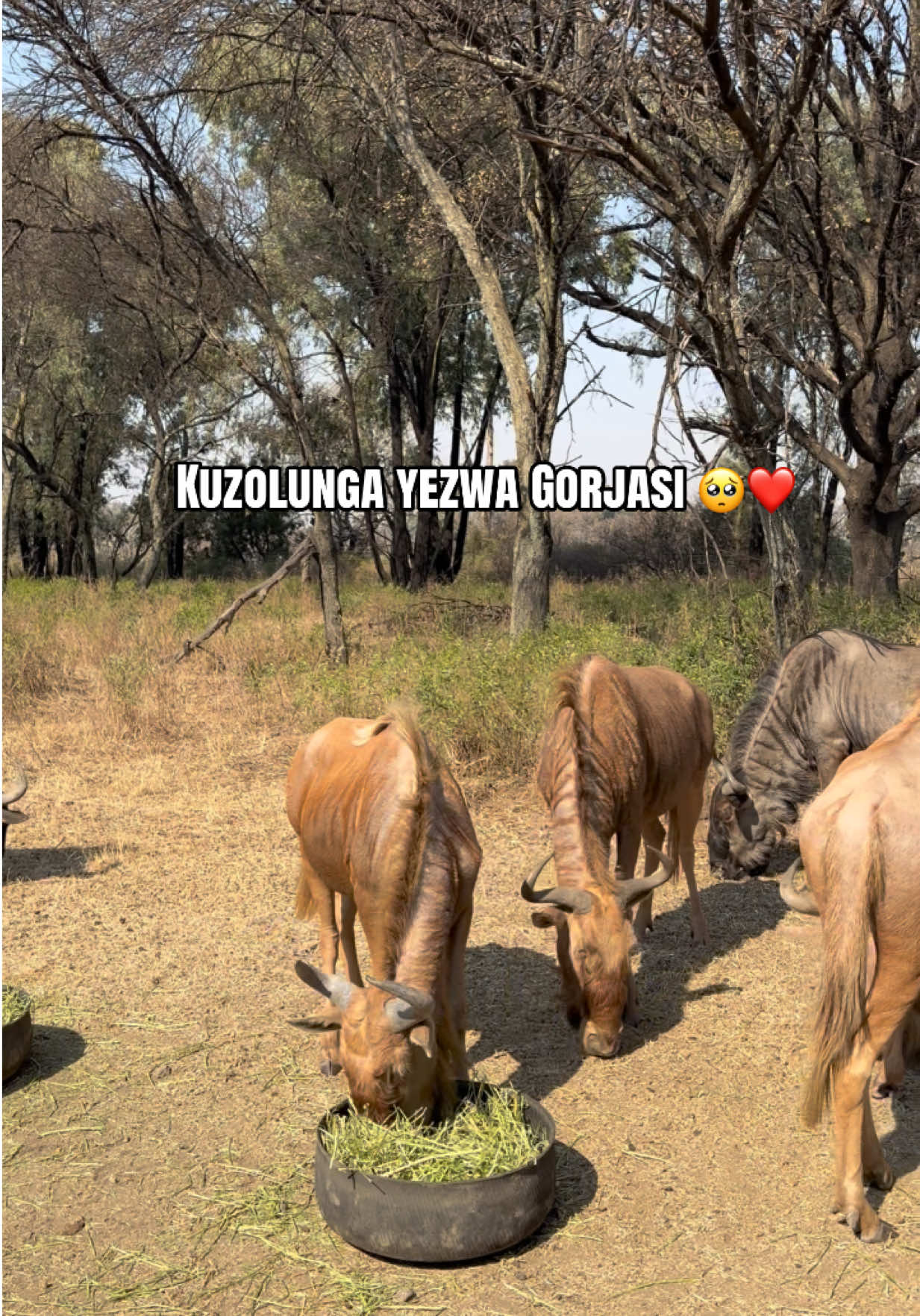 @Jessica Mashaba