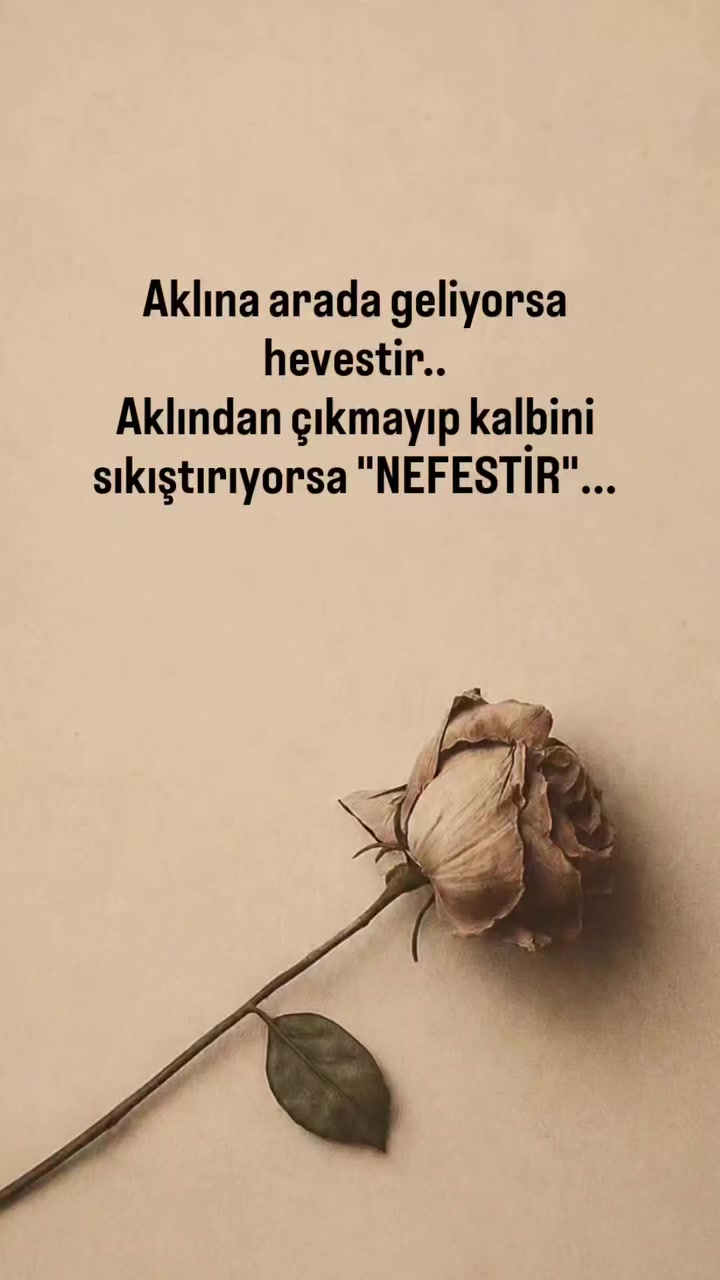 @Devlerin aลkฤฑ büyük olur ๐๐