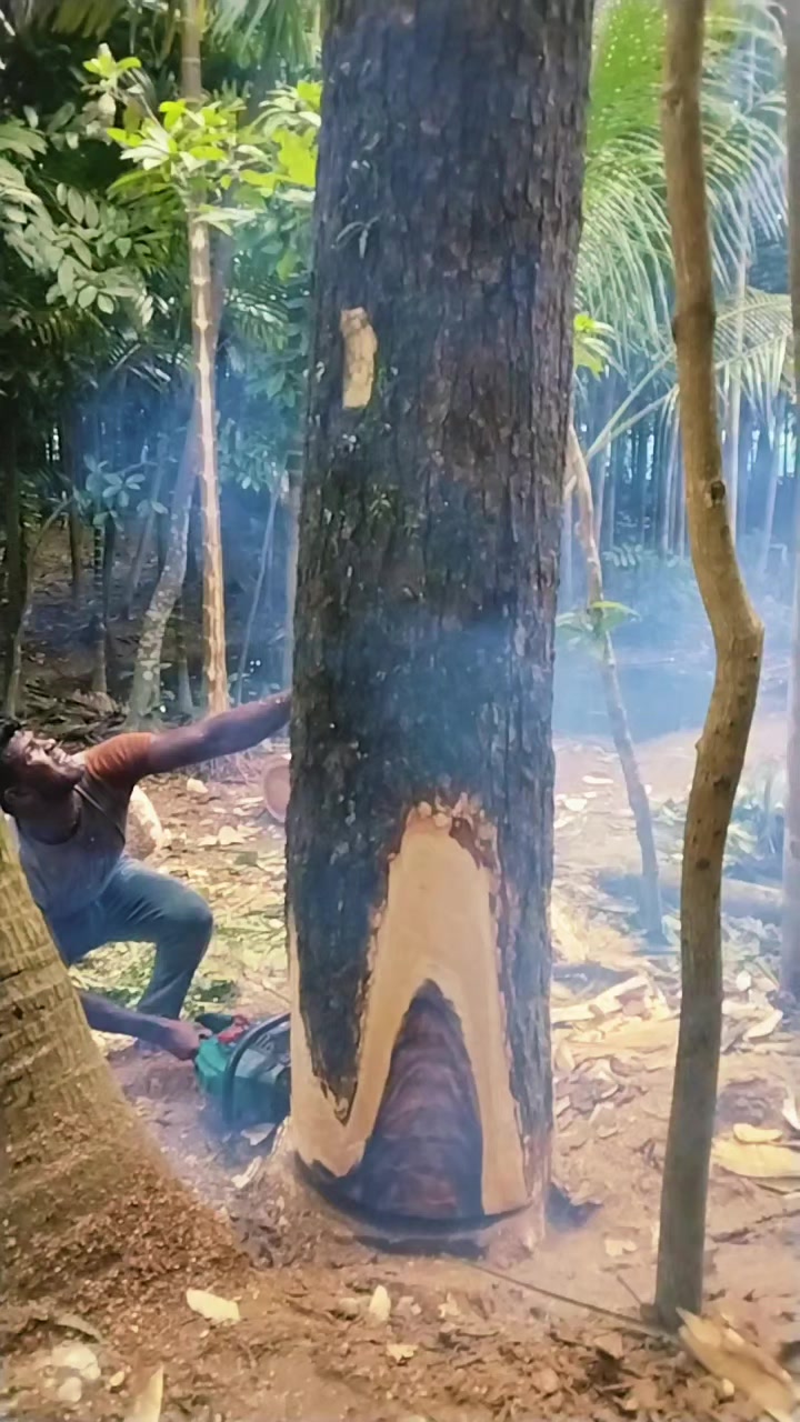 @যশোরের পোলা