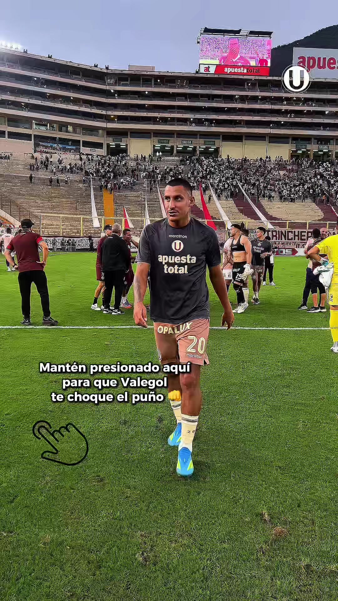 @Universitario