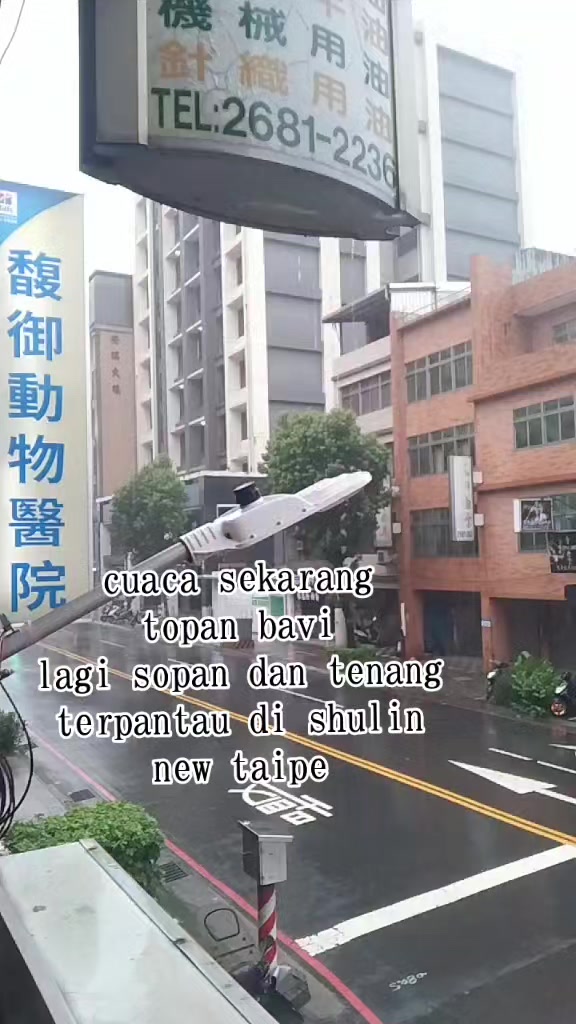 @王安娜592